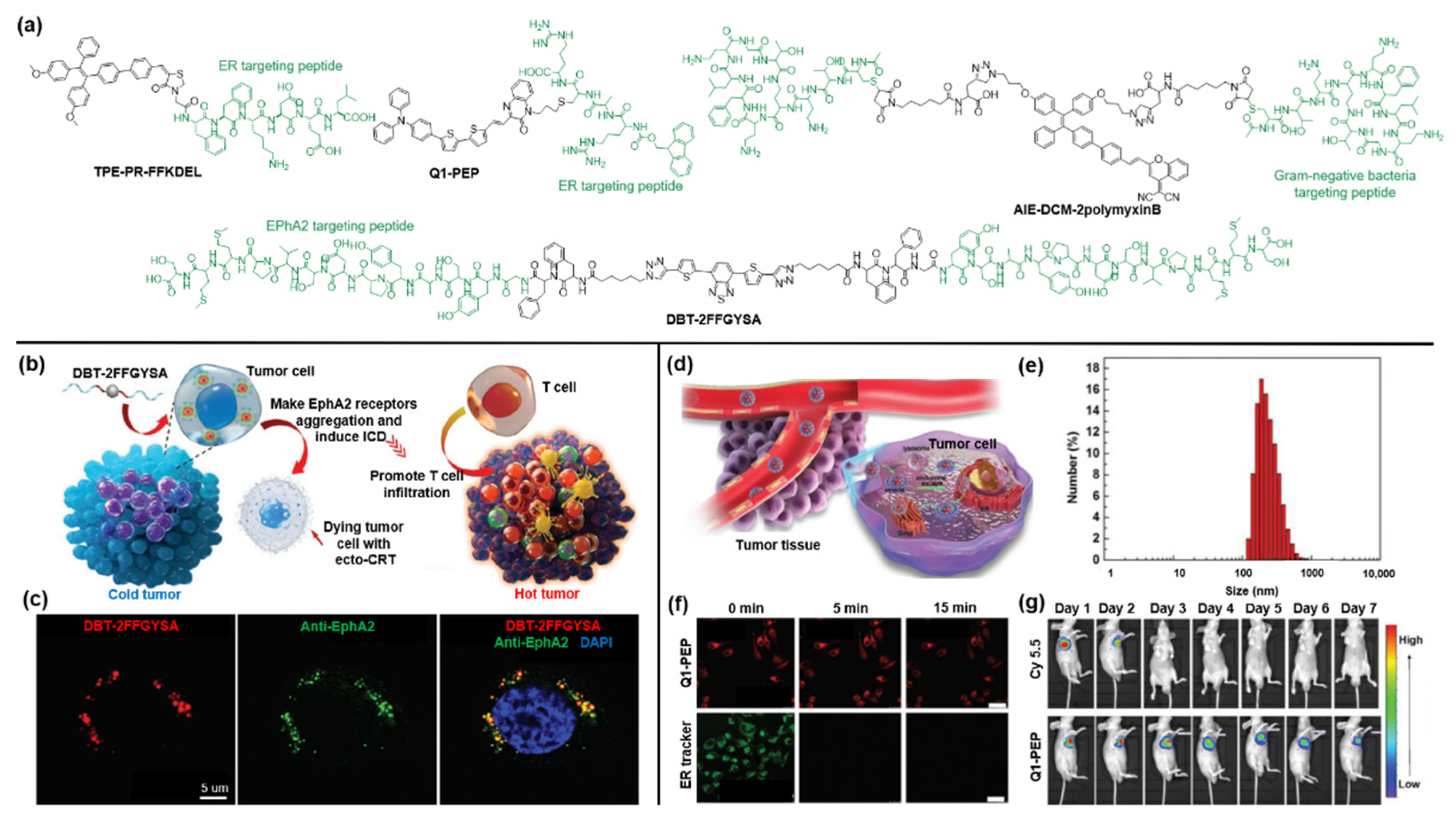 Molecules 27 03914 g004