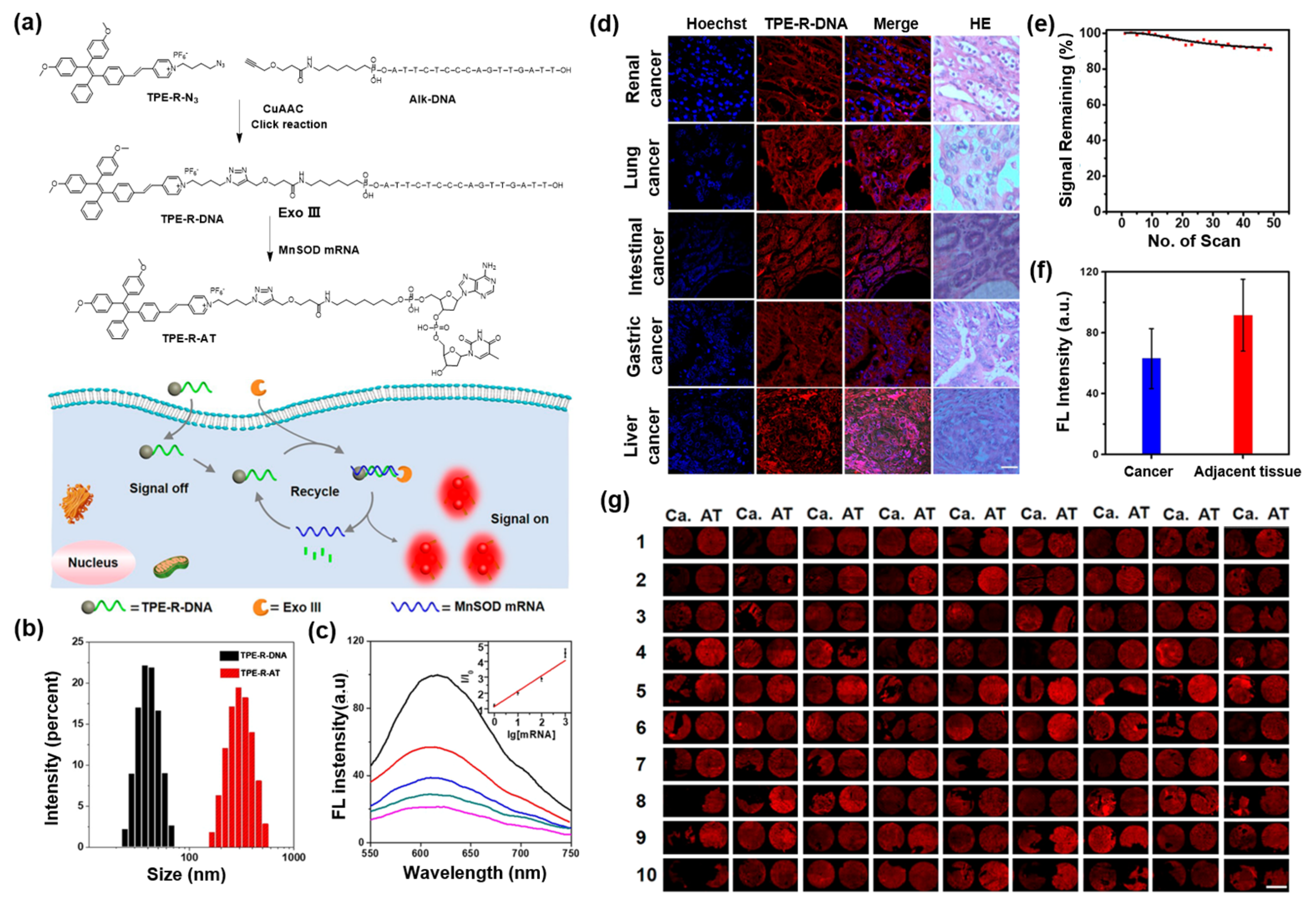 Molecules 27 03914 g006