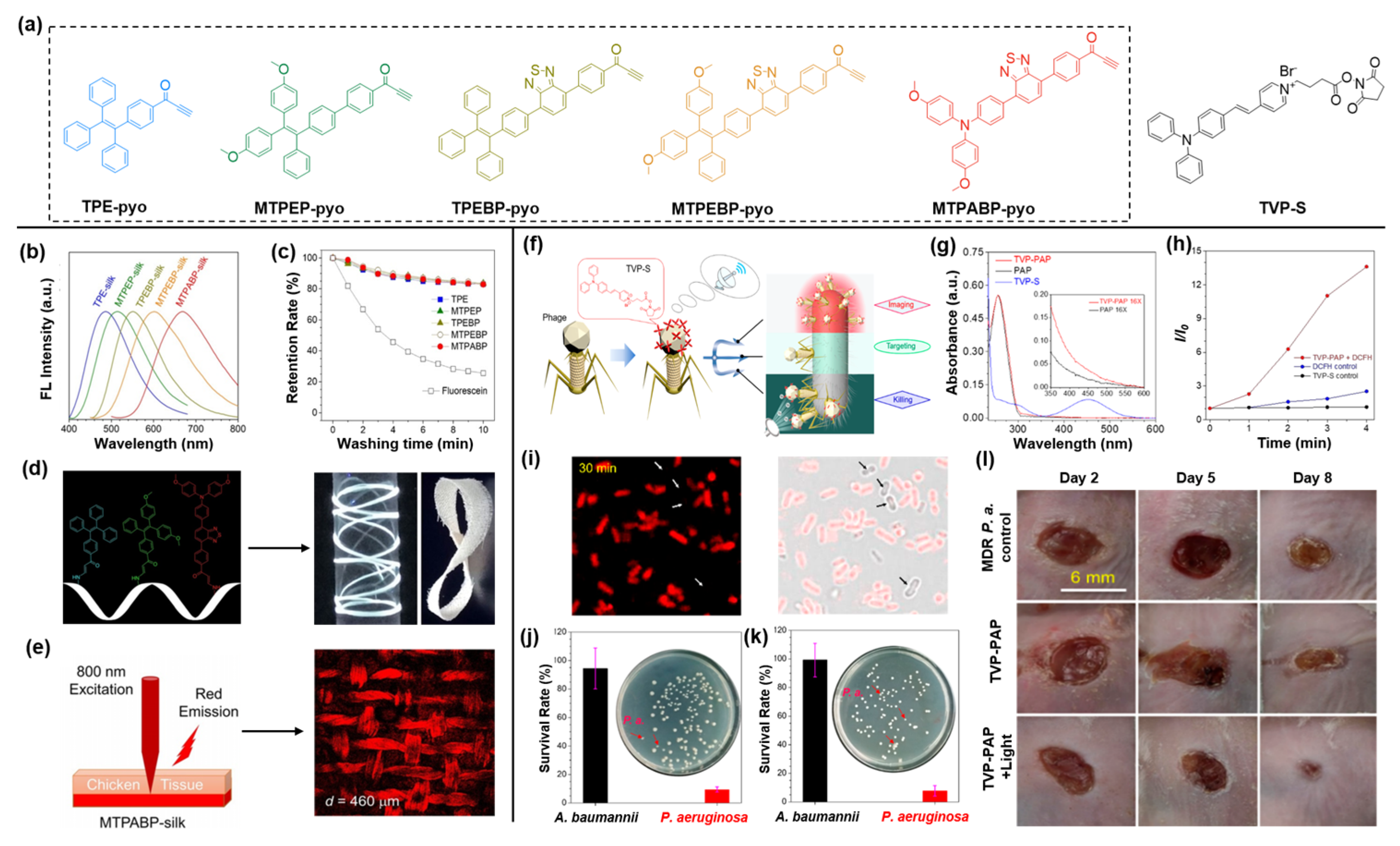 Molecules 27 03914 g008
