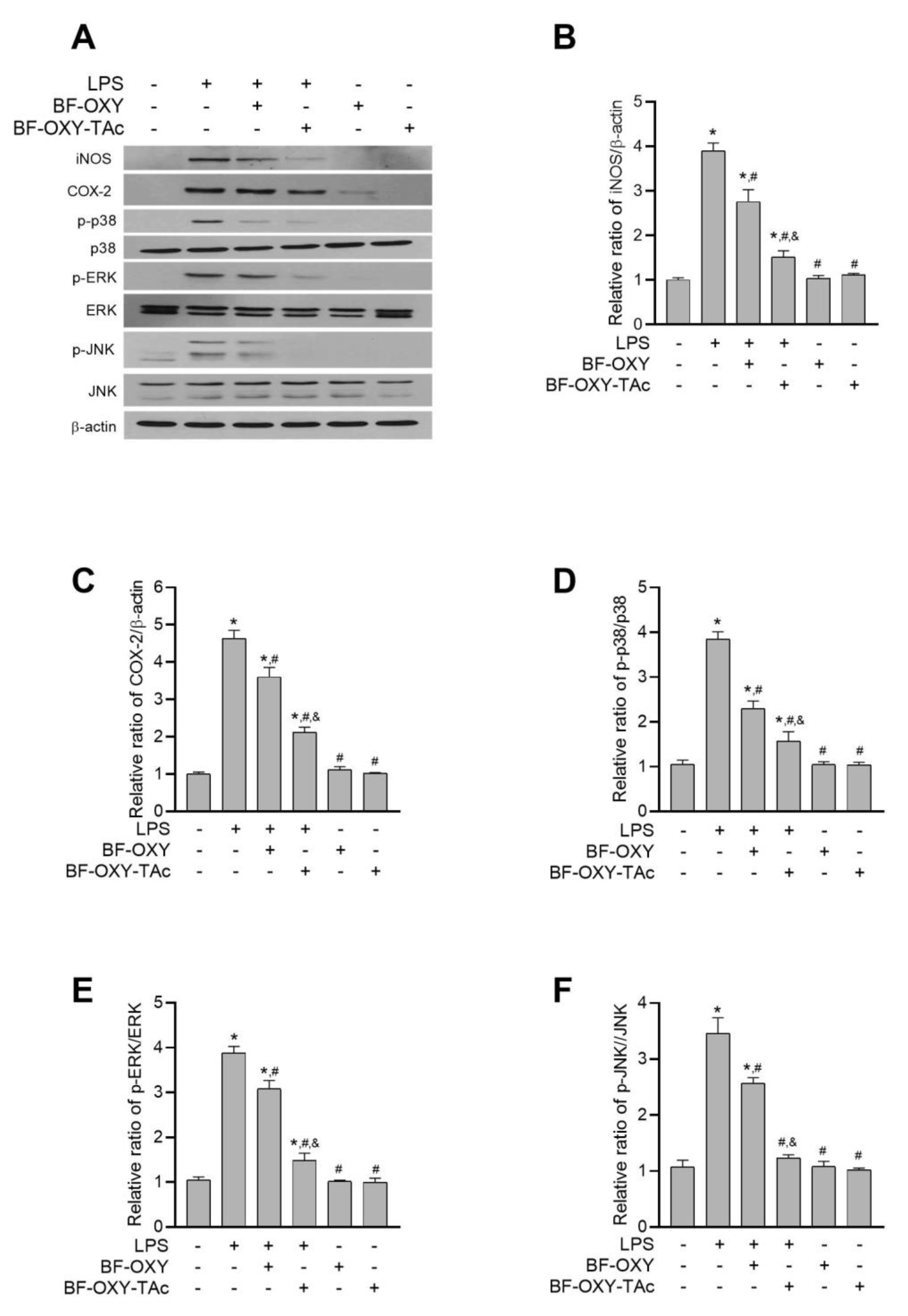 Molecules 27 03922 g005