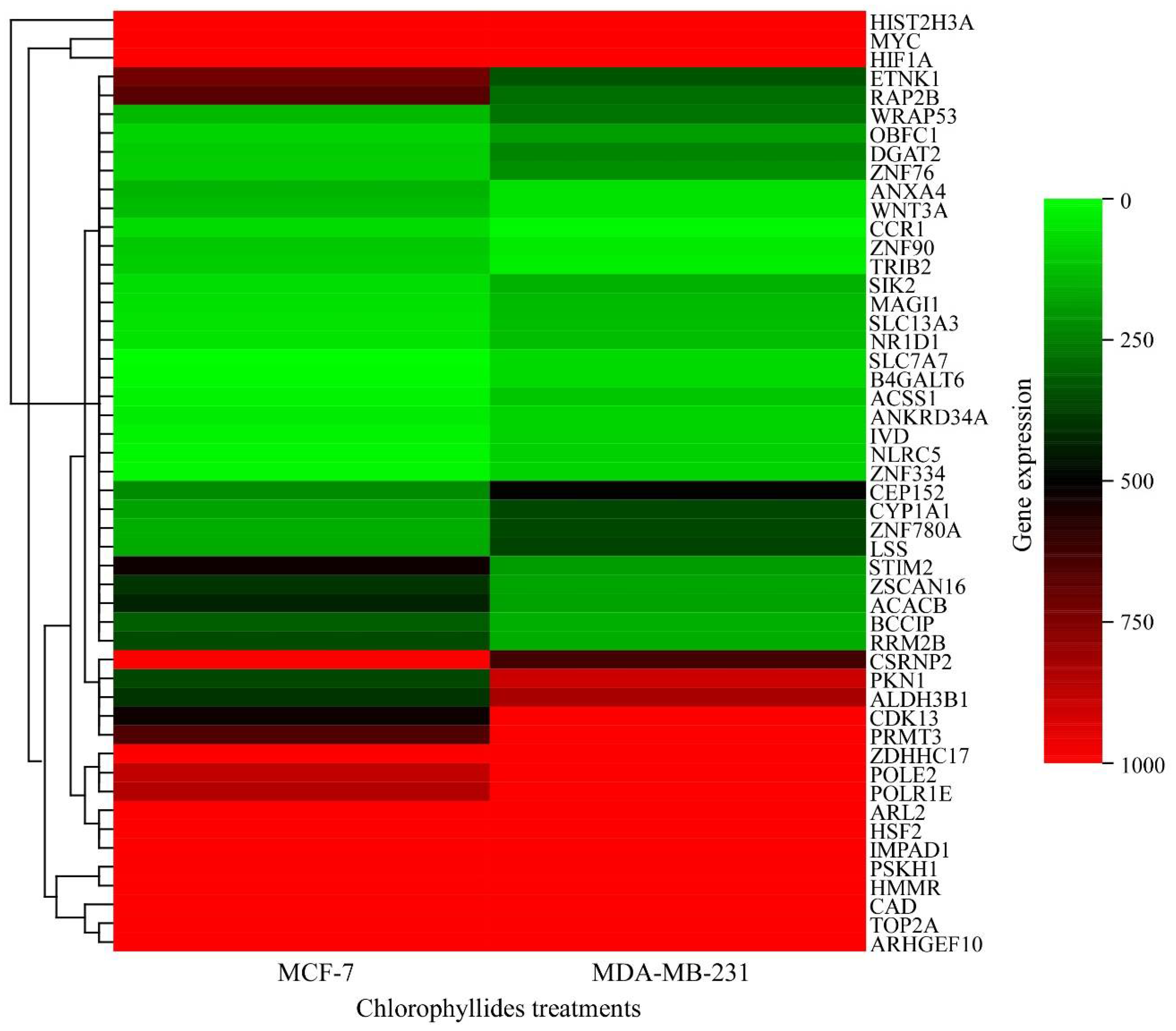 Molecules 27 03950 g005