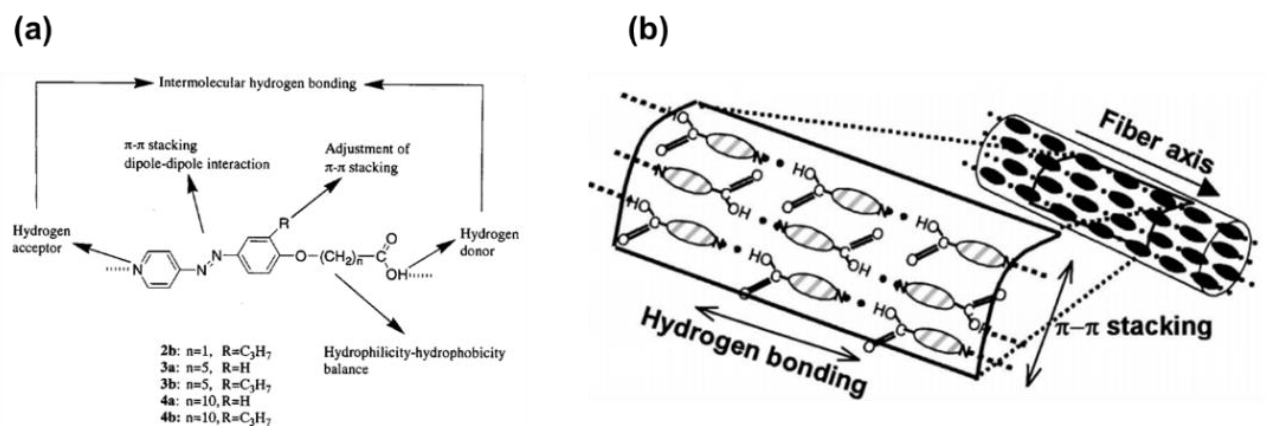 Molecules 27 03977 g006