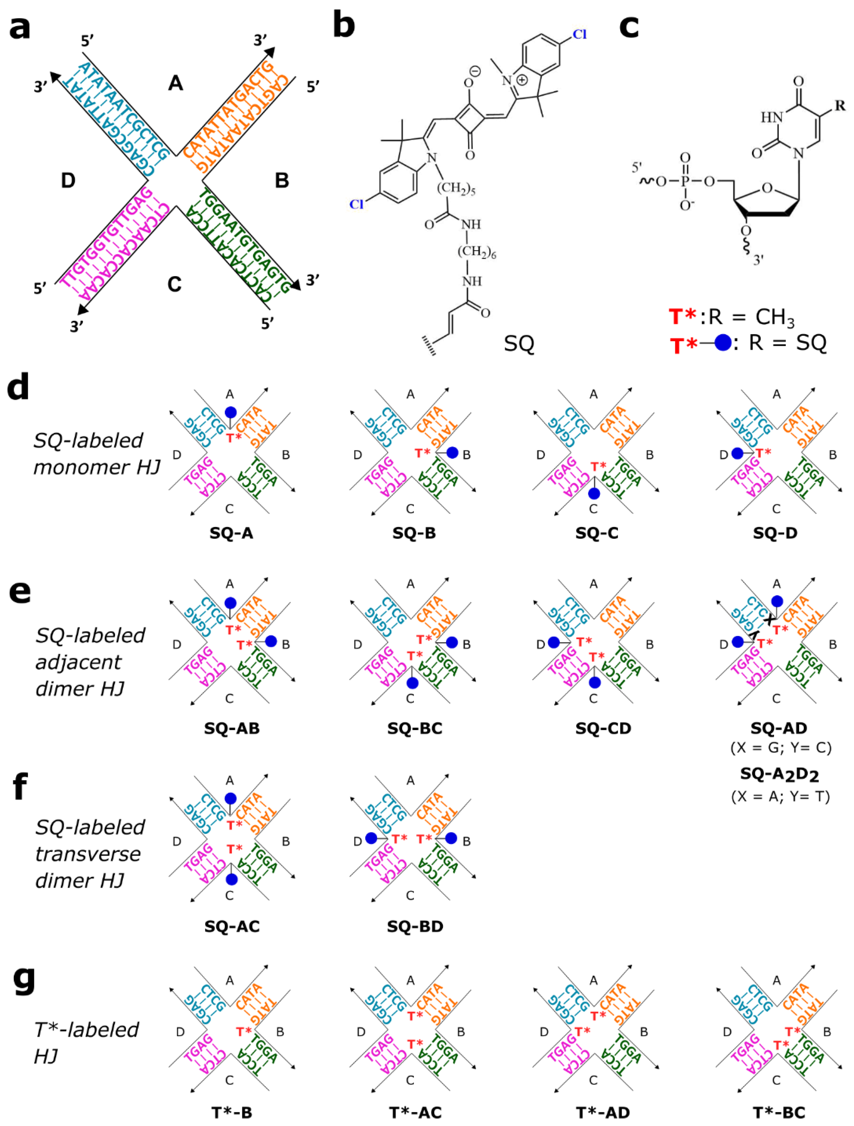 Molecules 27 04006 g002