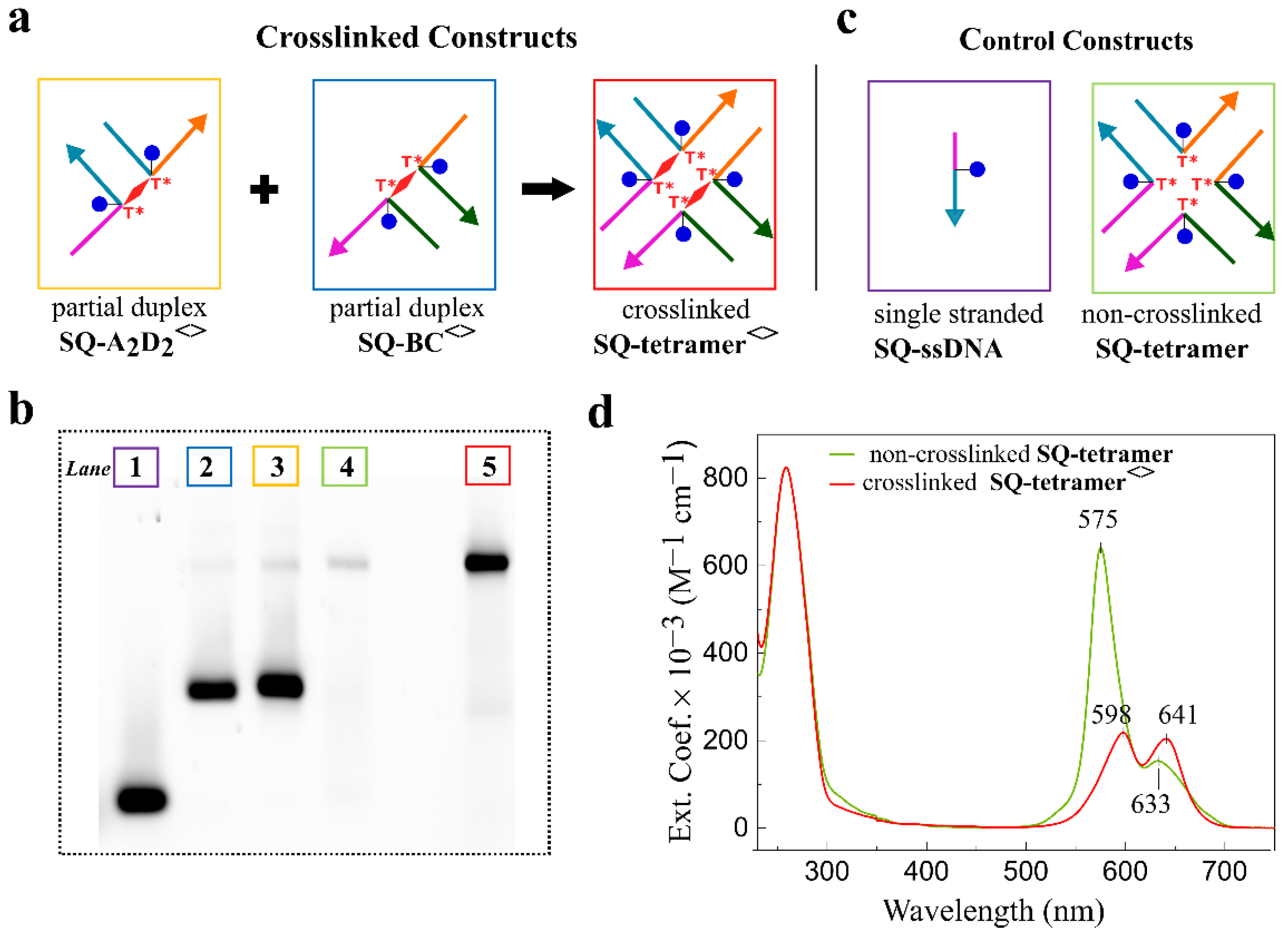 Molecules 27 04006 g005