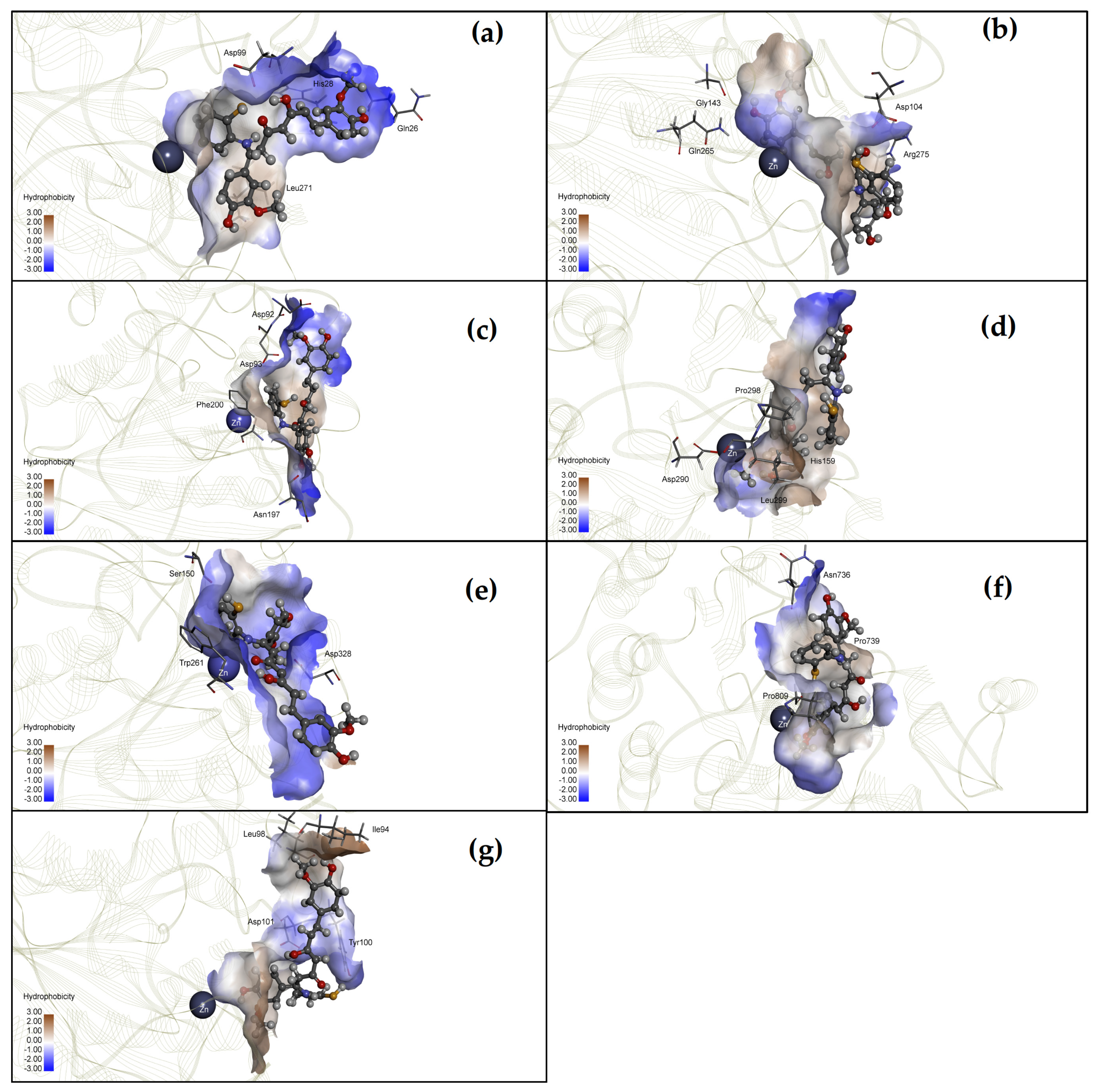 Molecules 27 04014 g003