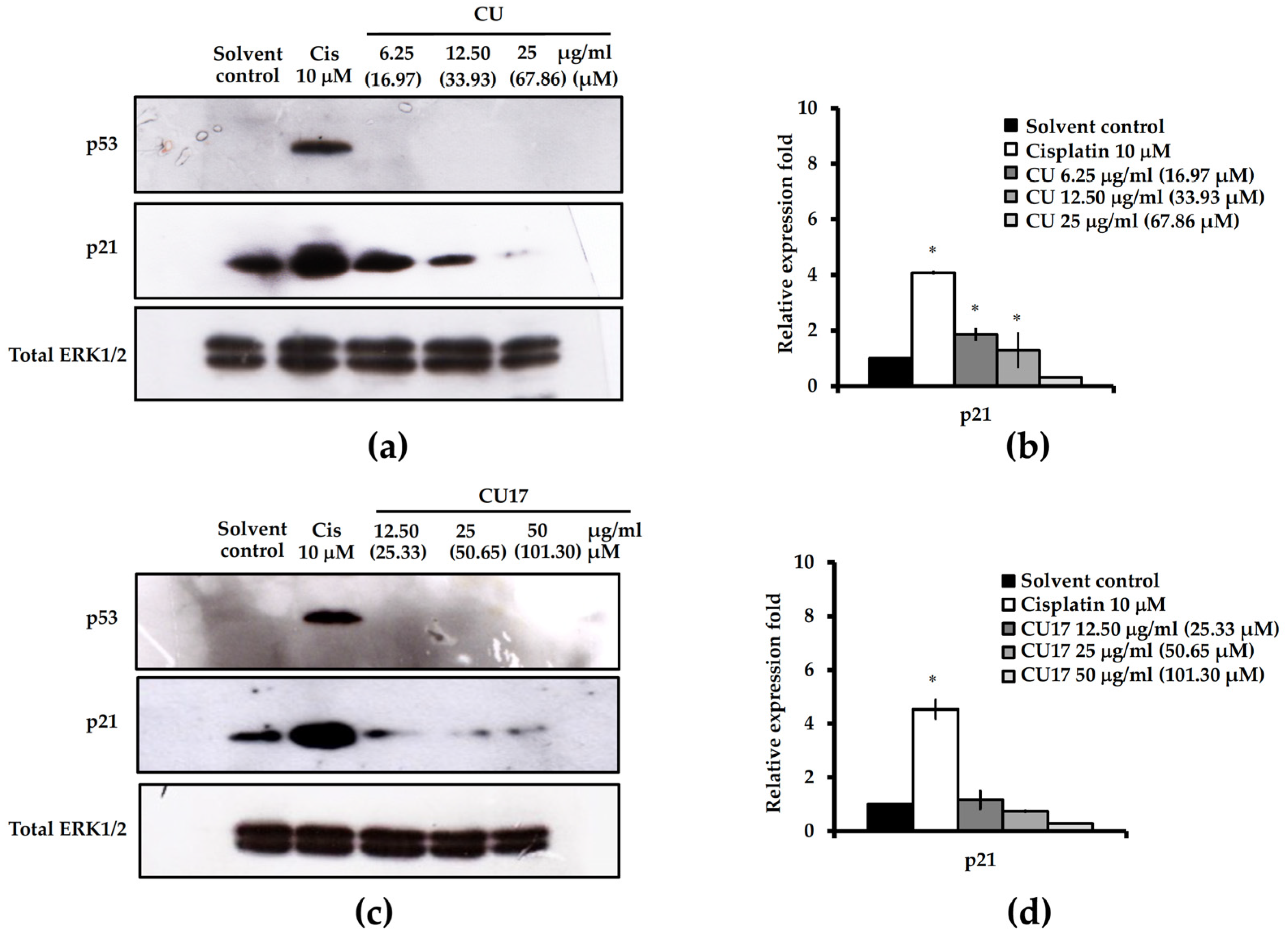 Molecules 27 04014 g006