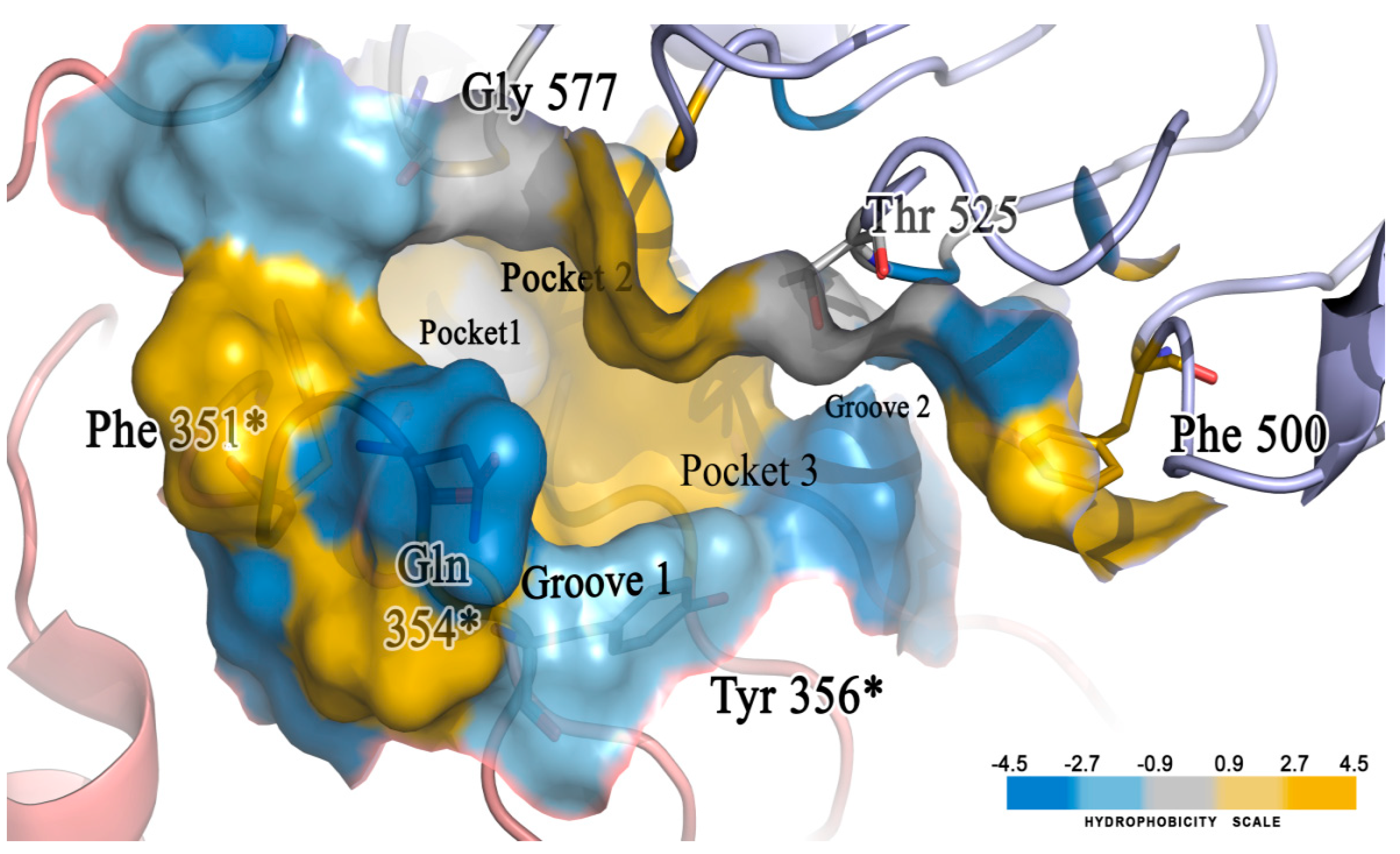 Molecules 27 04026 g016 Molecules 27 04026 g016