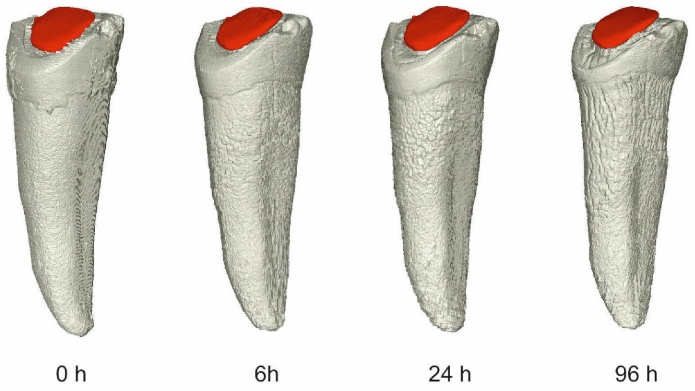 Molecules 27 04035 g008 Molecules 27 04035 g008