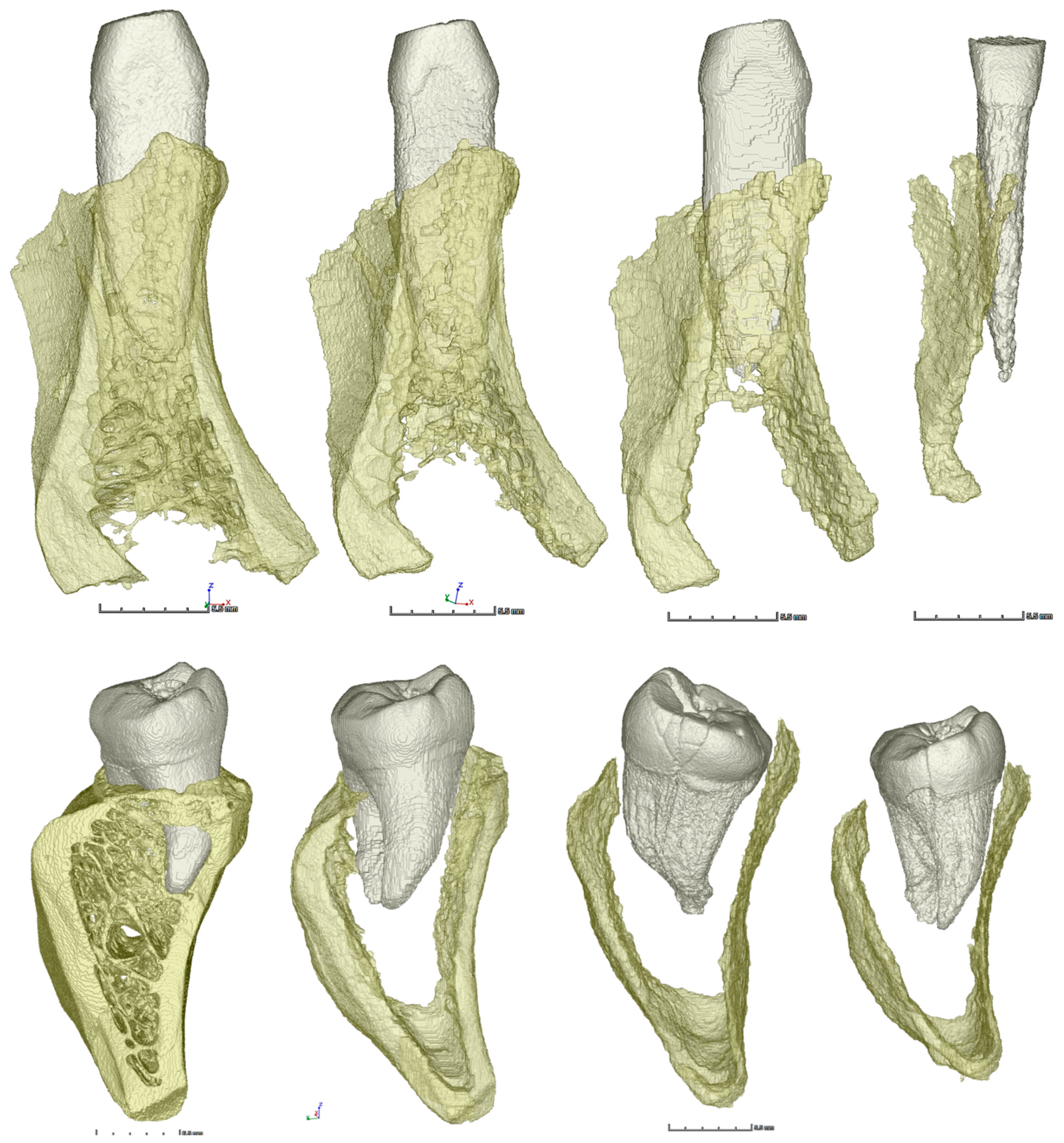 Molecules 27 04035 g0a1a Molecules 27 04035 g0a1a