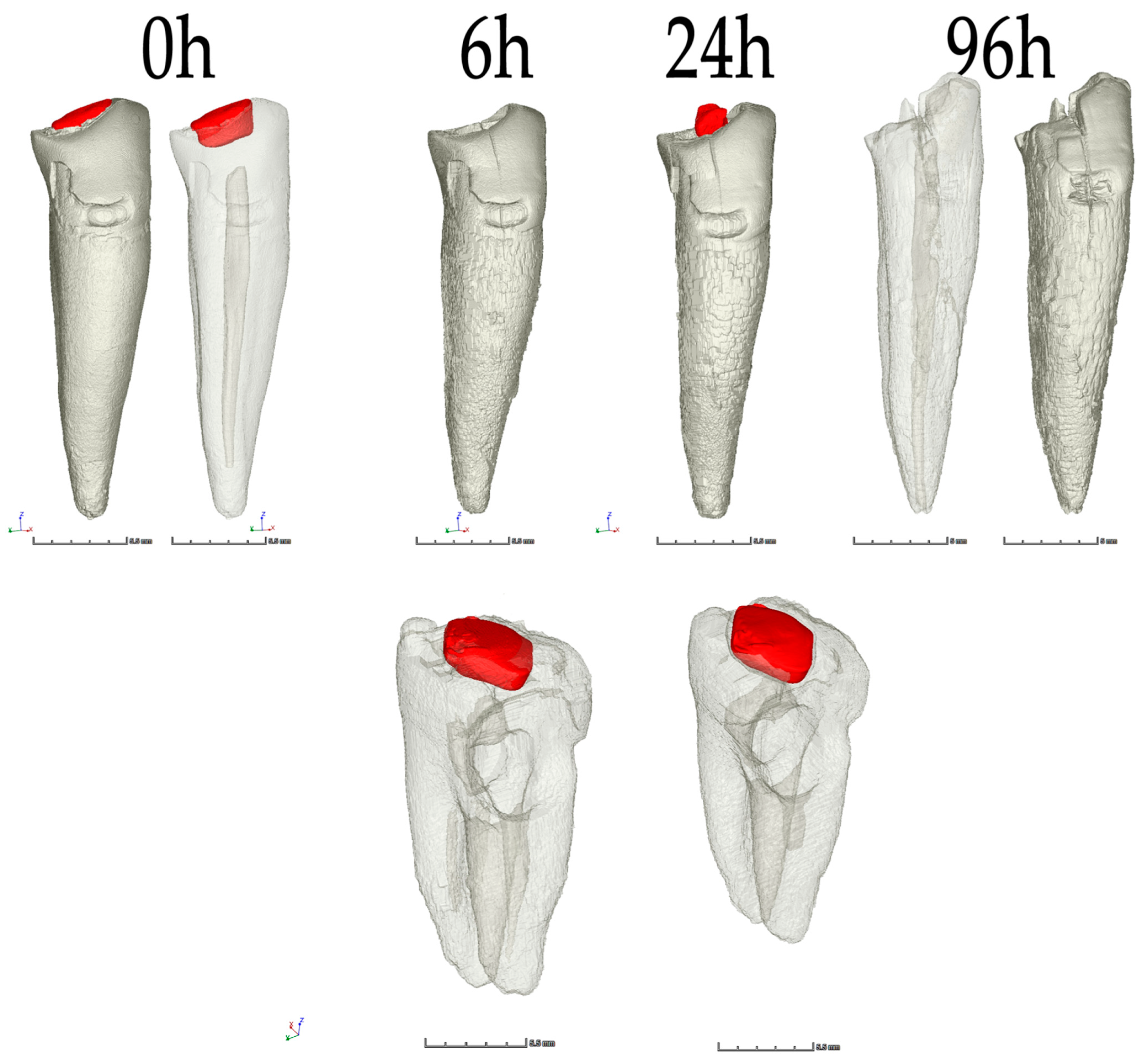 Molecules 27 04035 g0a1b Molecules 27 04035 g0a1b