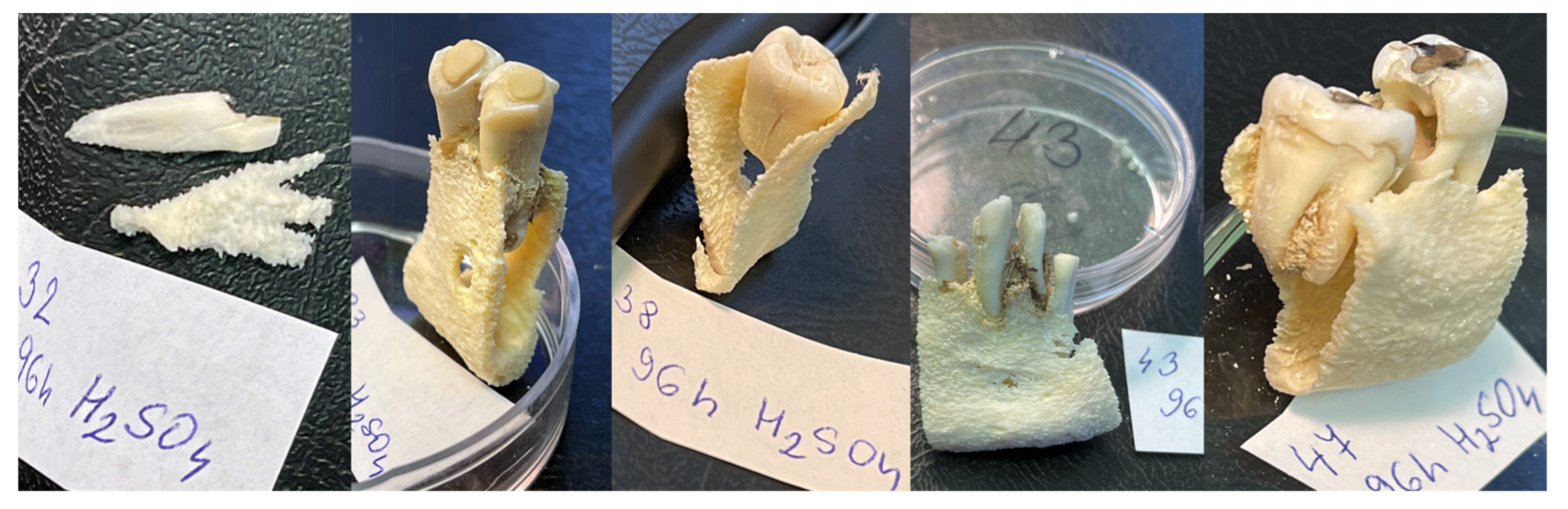 Molecules 27 04035 g0a2 Molecules 27 04035 g0a2