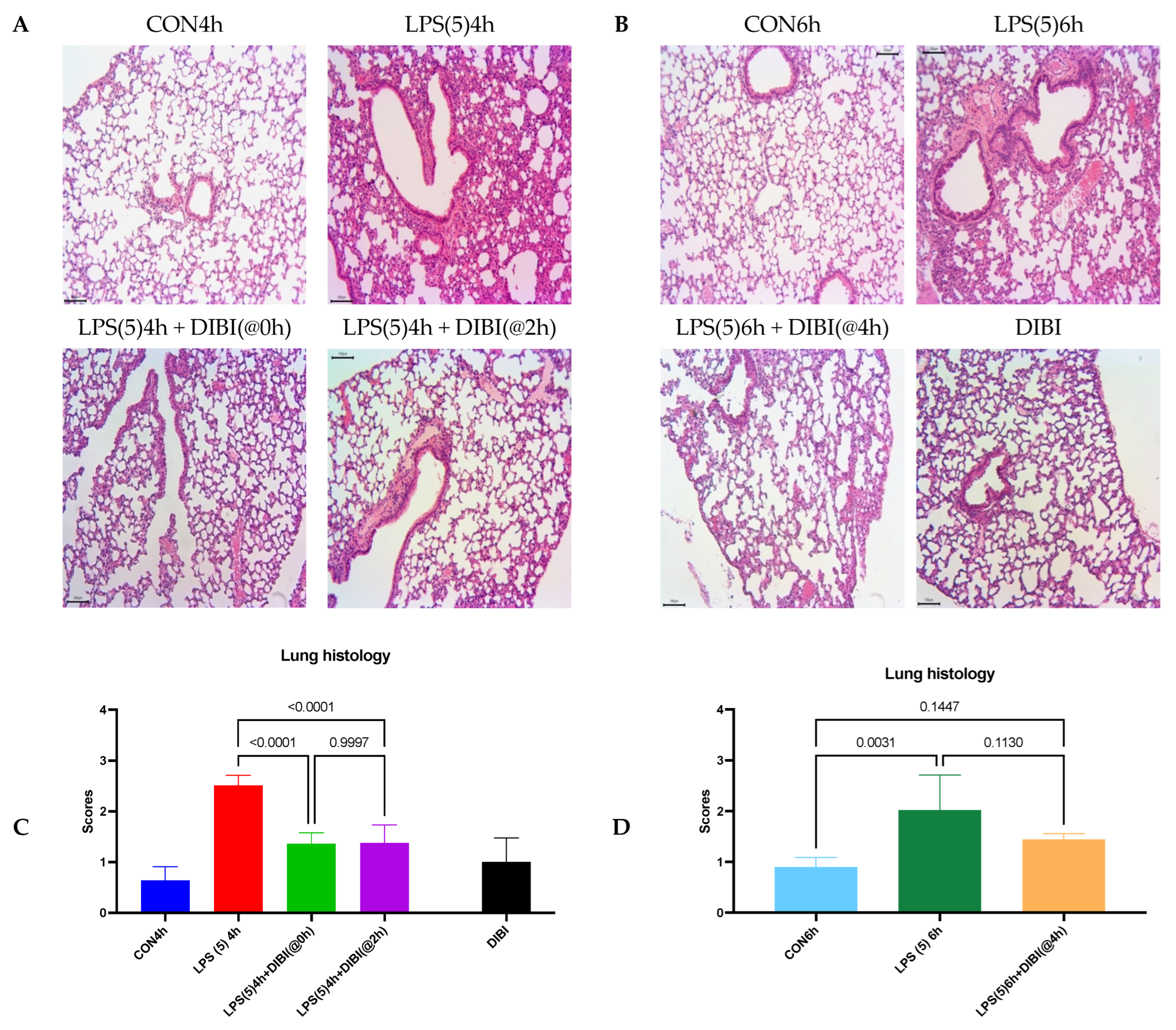 Molecules 27 04036 g002