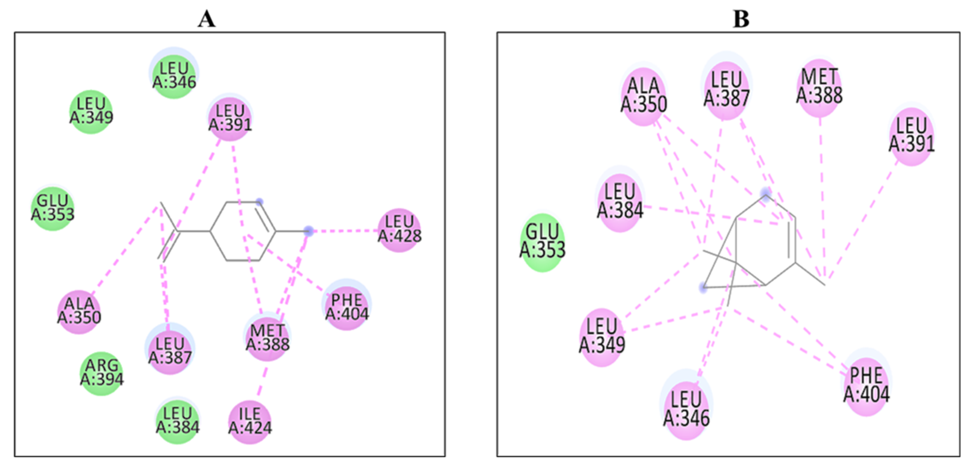 Molecules 27 04077 g001