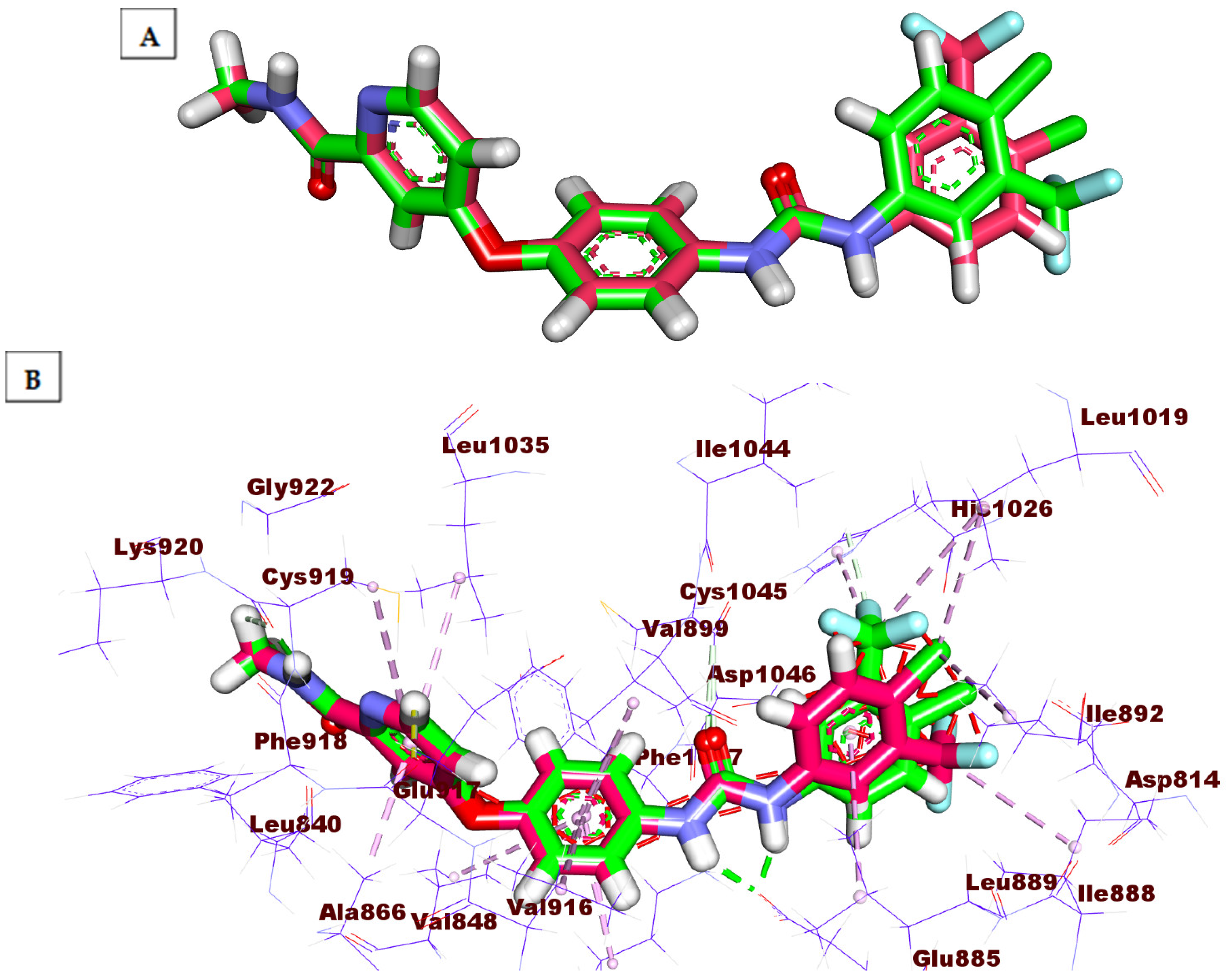 Molecules 27 04079 g005