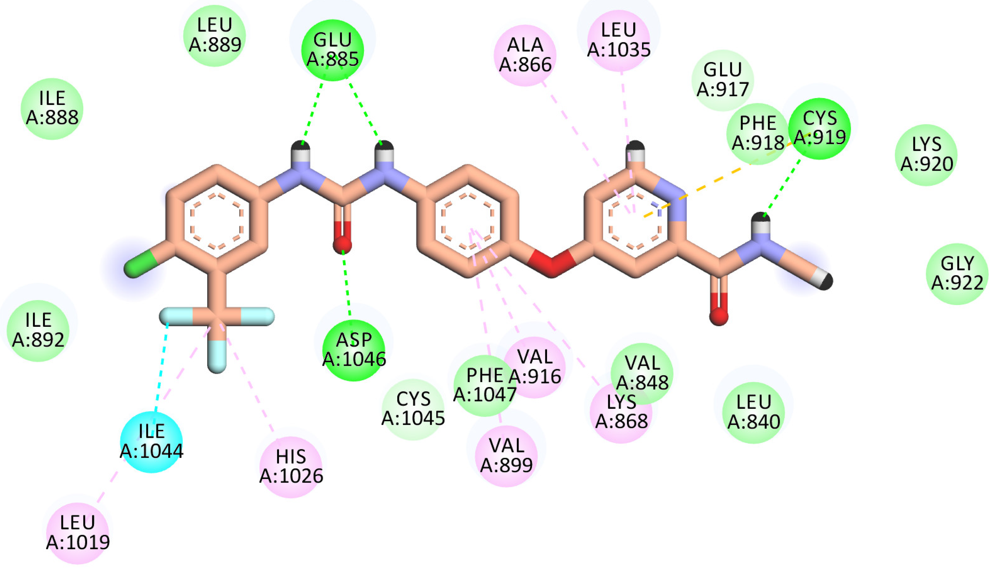 Molecules 27 04079 g006