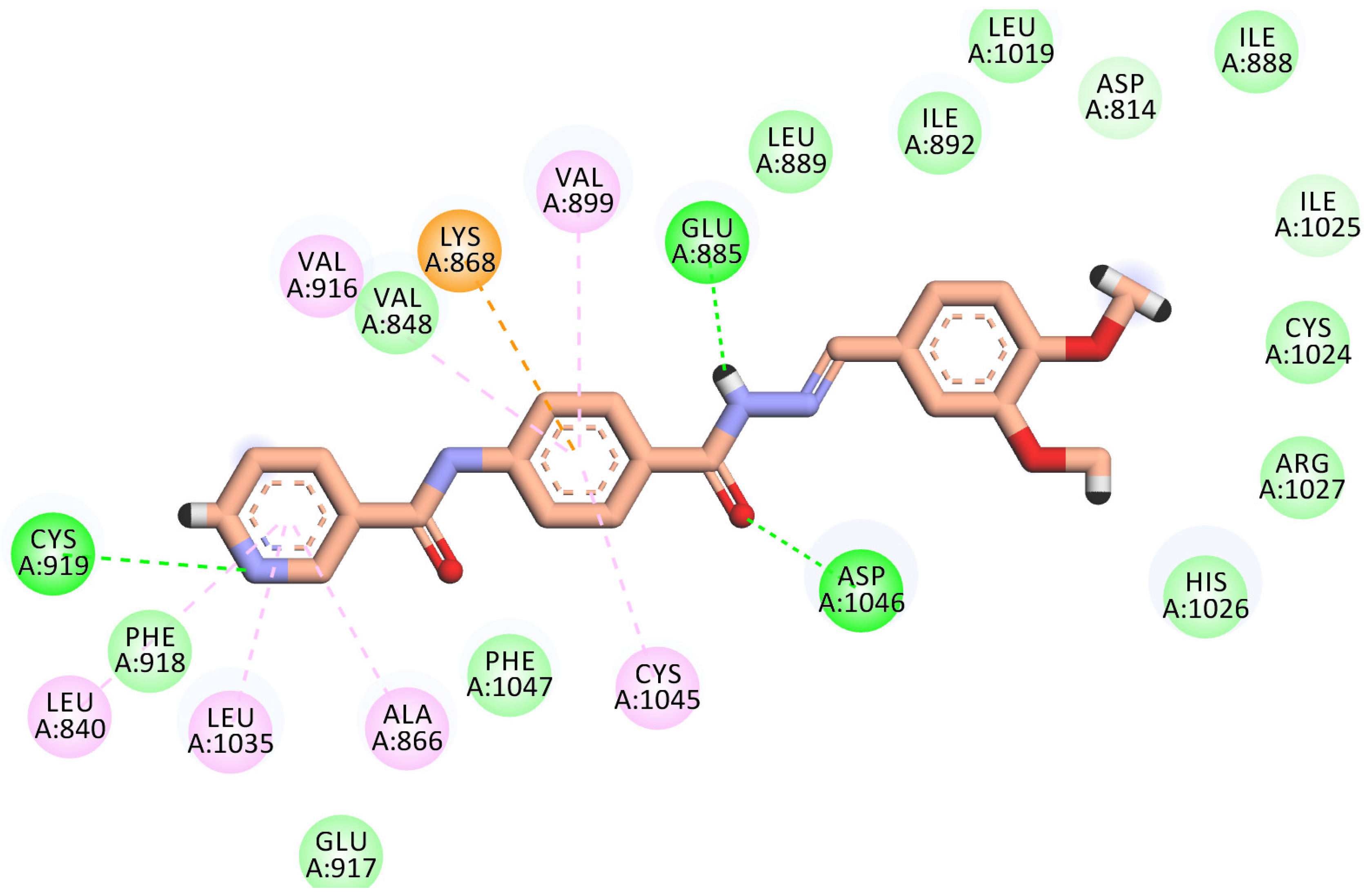 Molecules 27 04079 g007