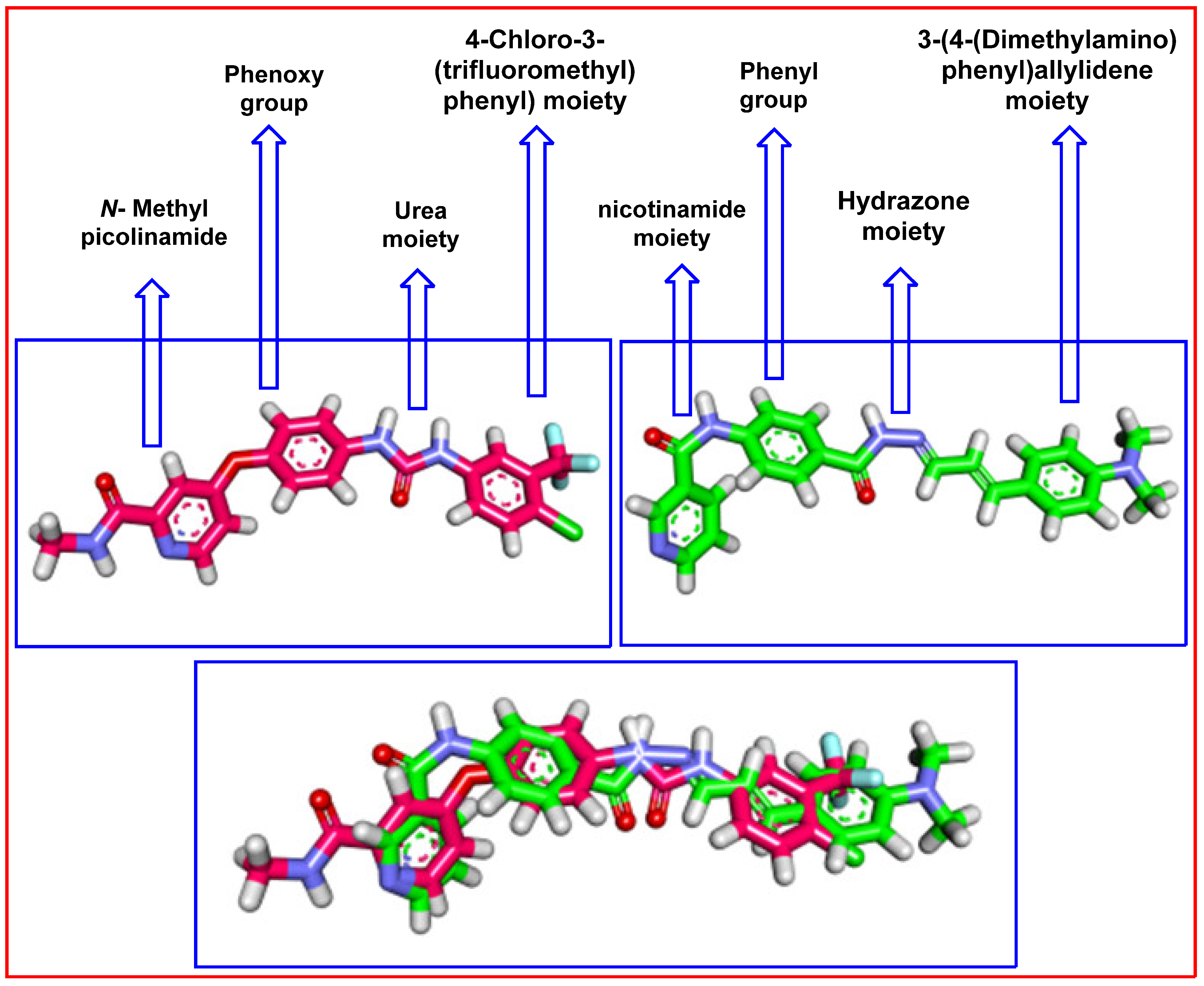 Molecules 27 04079 g012