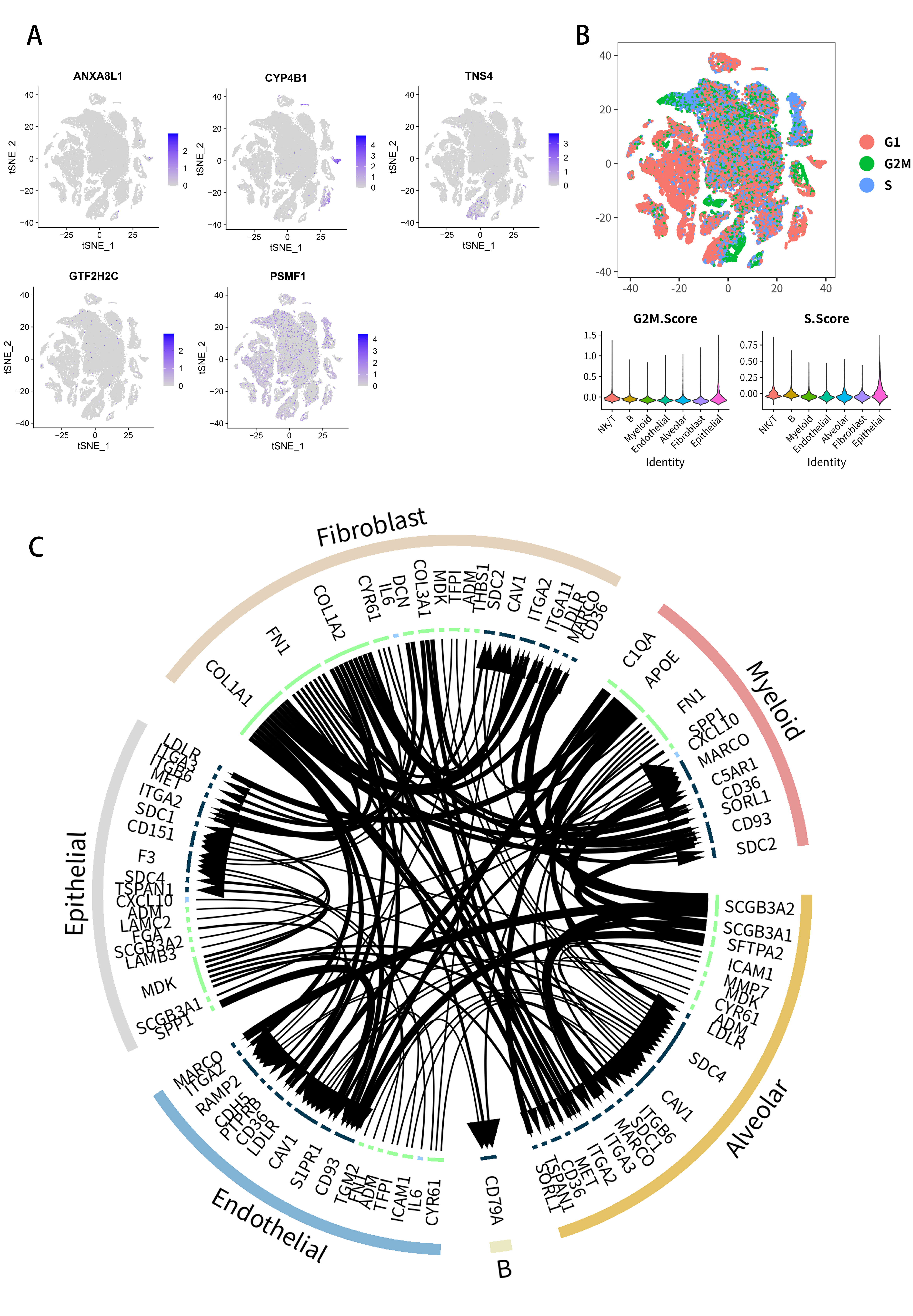 Molecules 27 04108 g009 Molecules 27 04108 g009