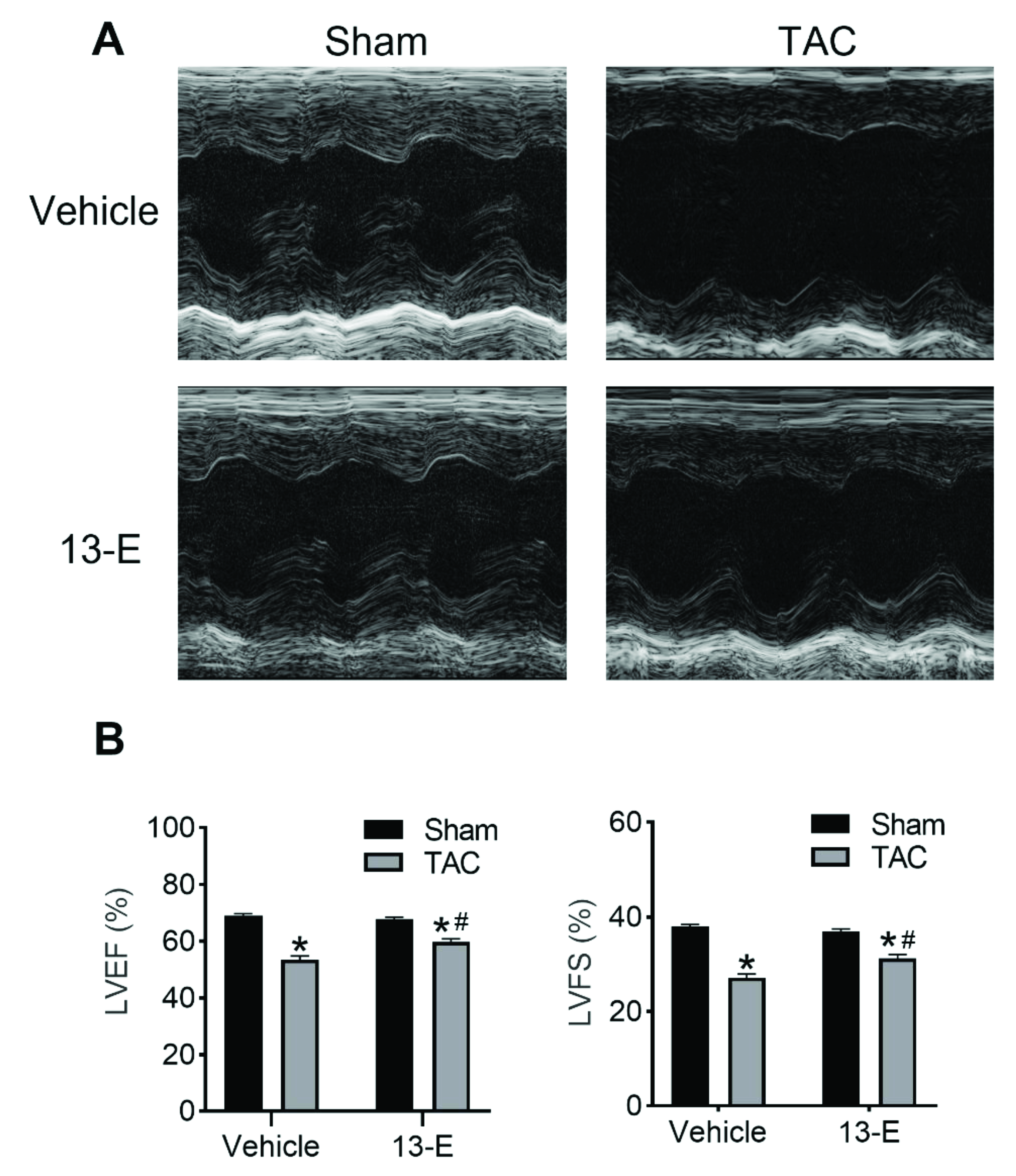 Molecules 27 04114 g004