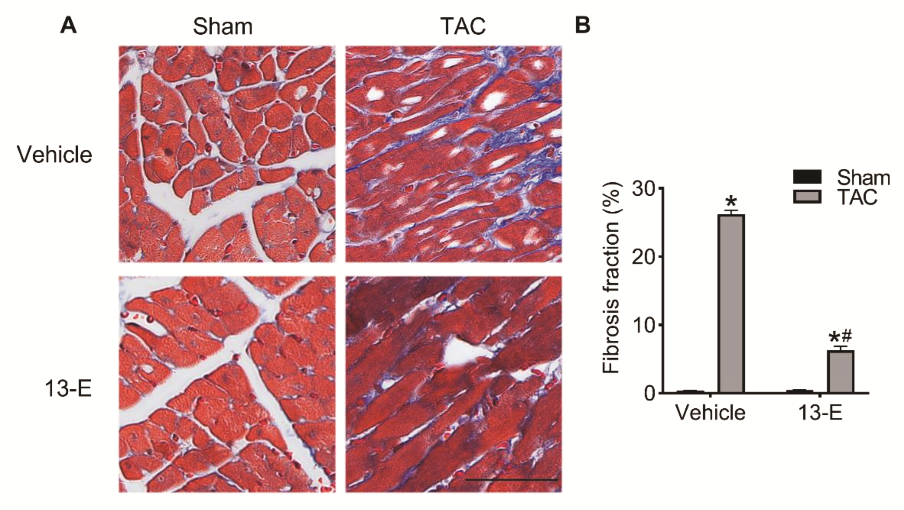 Molecules 27 04114 g006