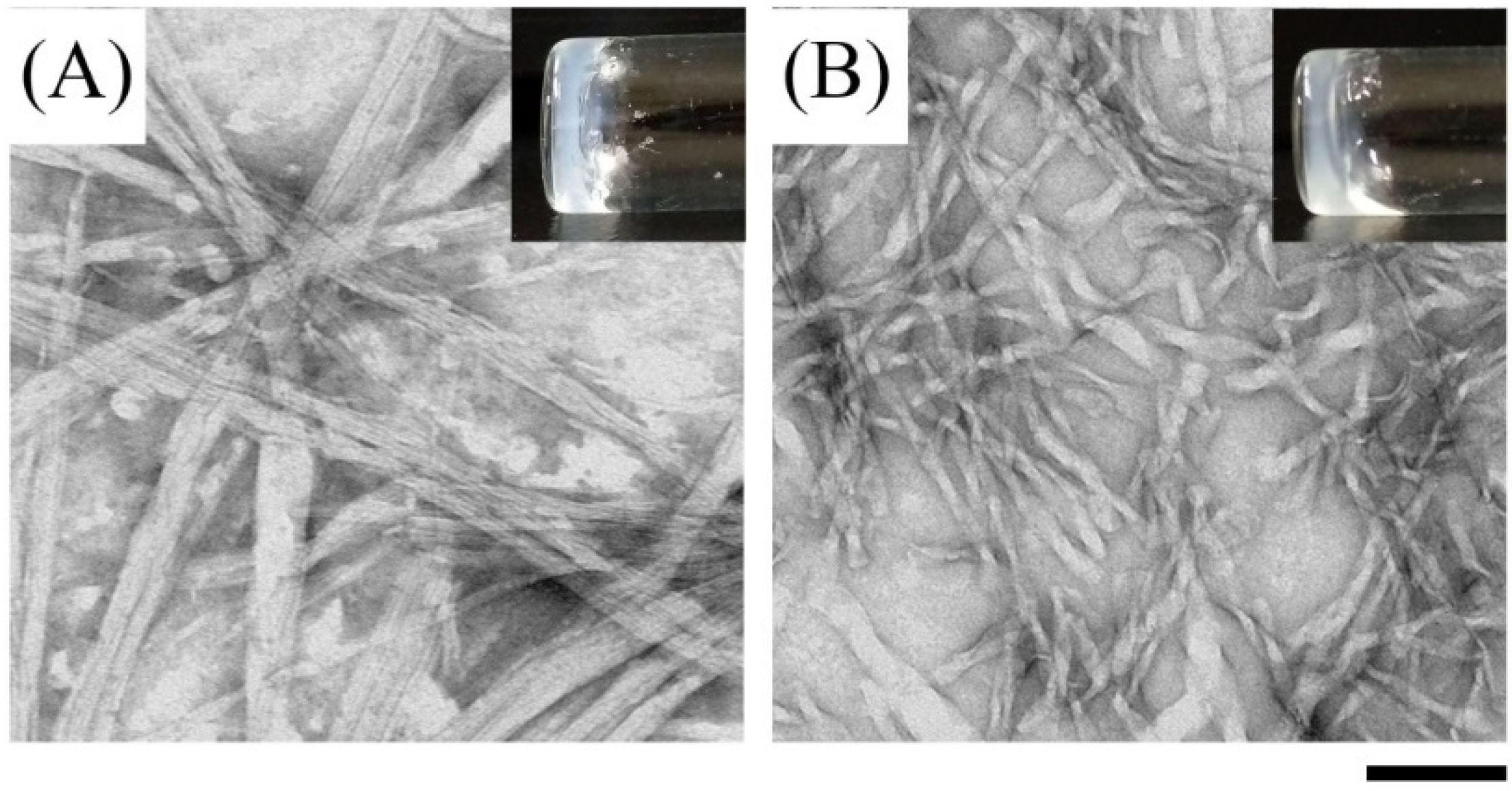 Molecules 27 04115 g002