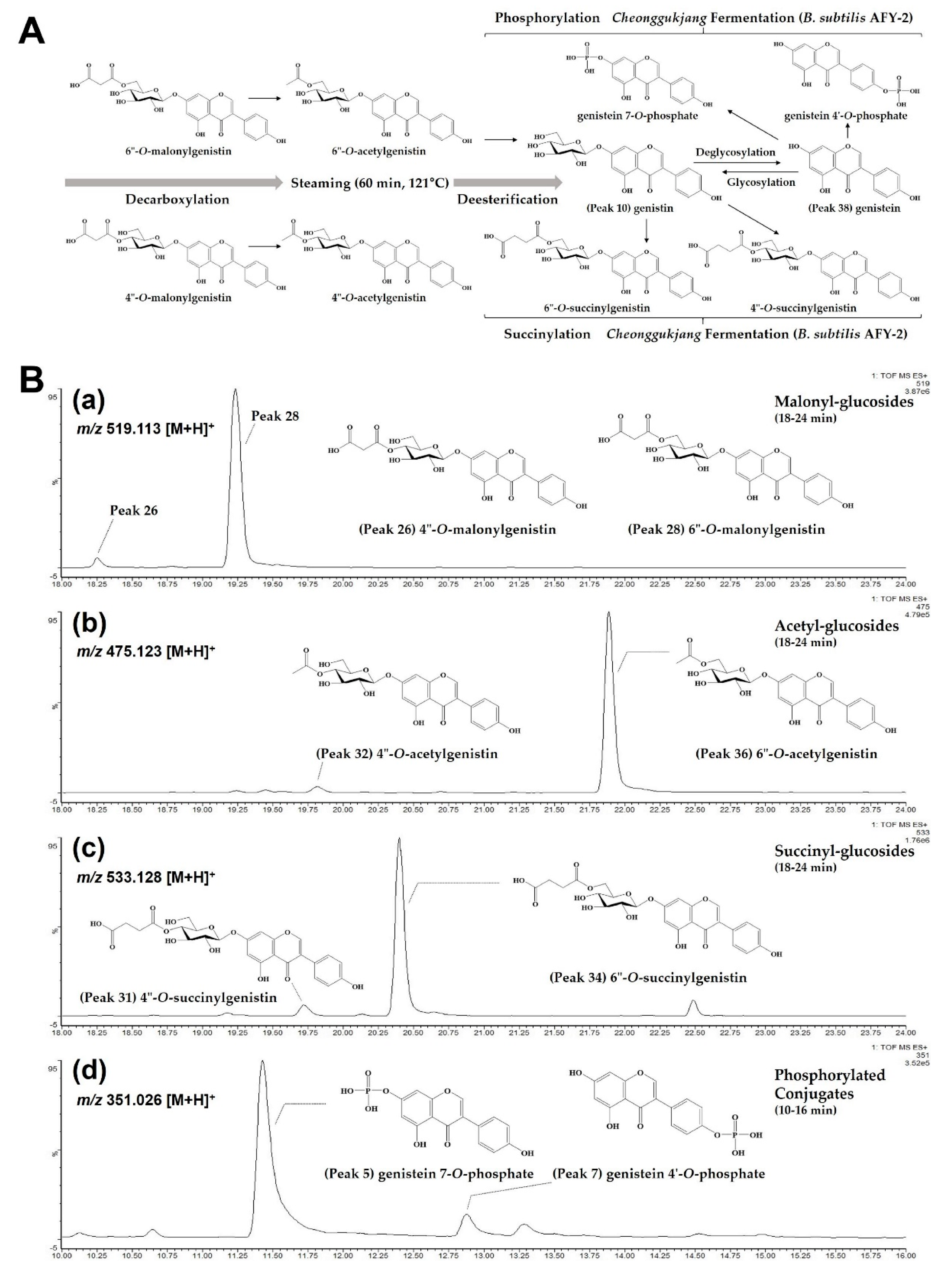 Molecules 27 04120 g004