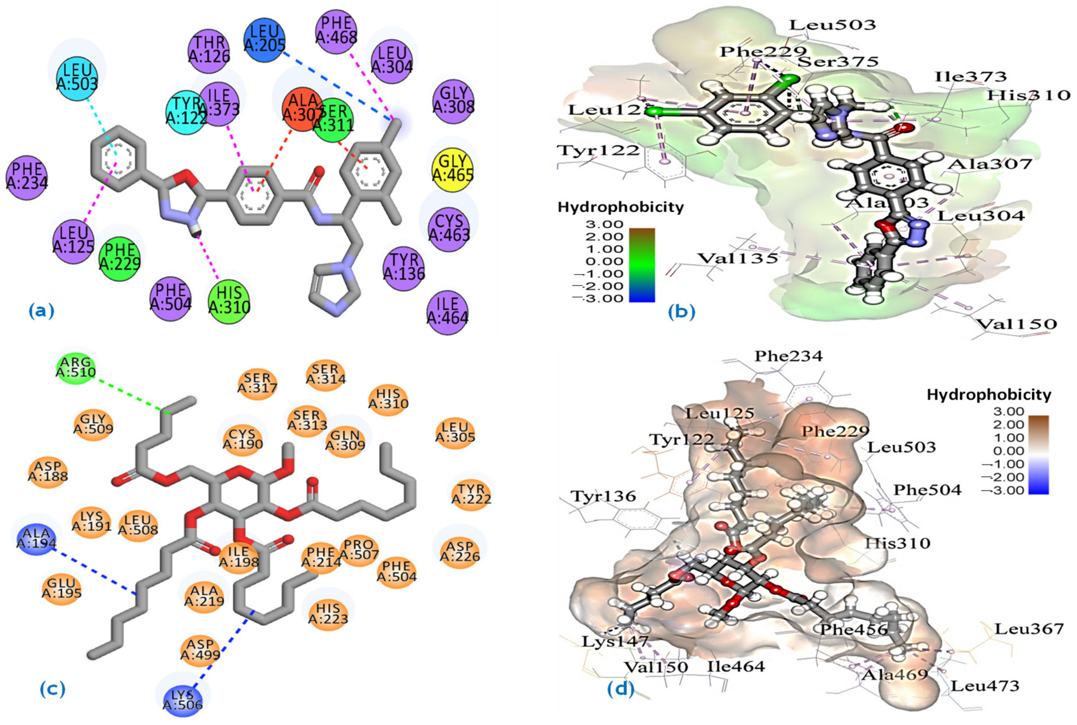 Molecules 27 04125 g005a