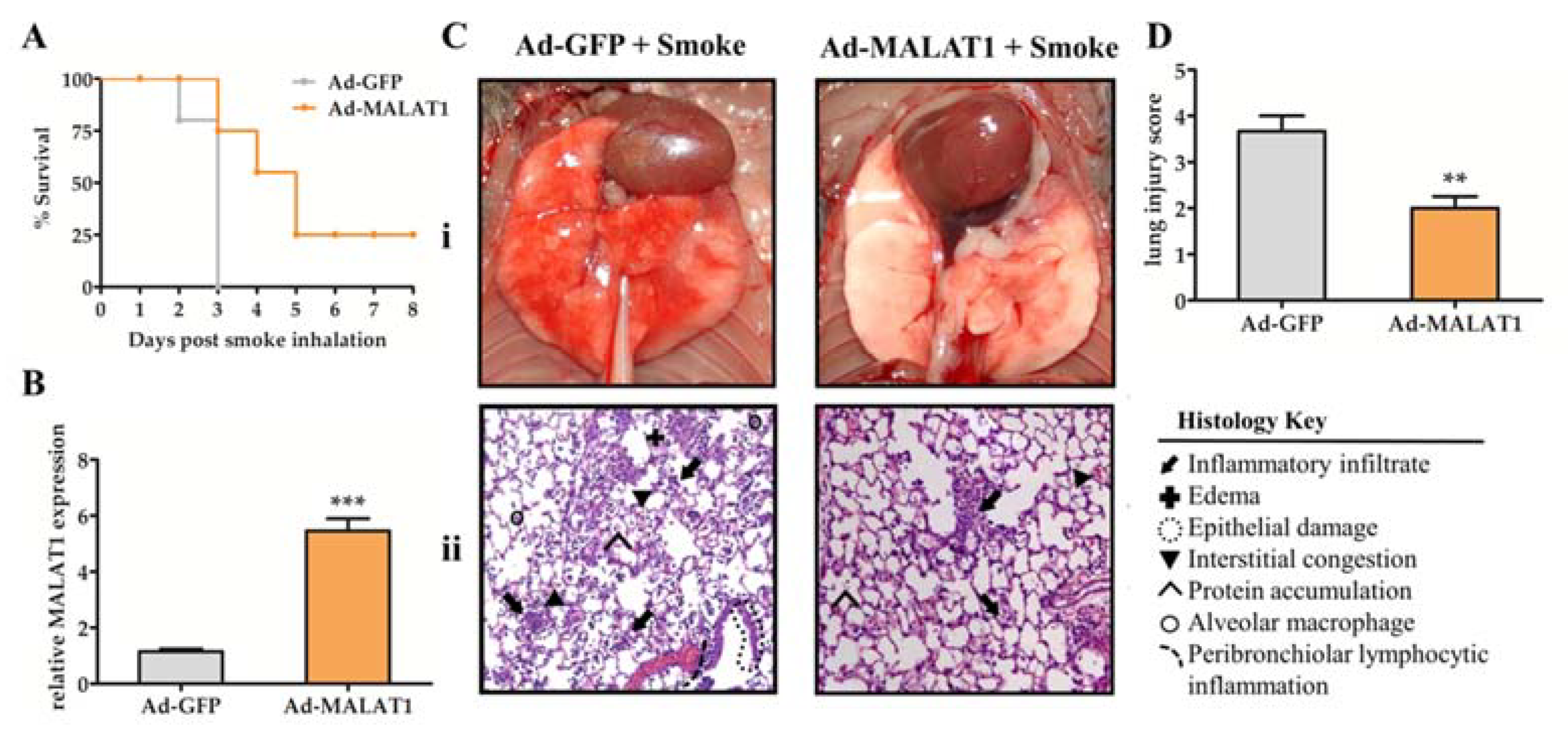 Molecules 27 04128 g004