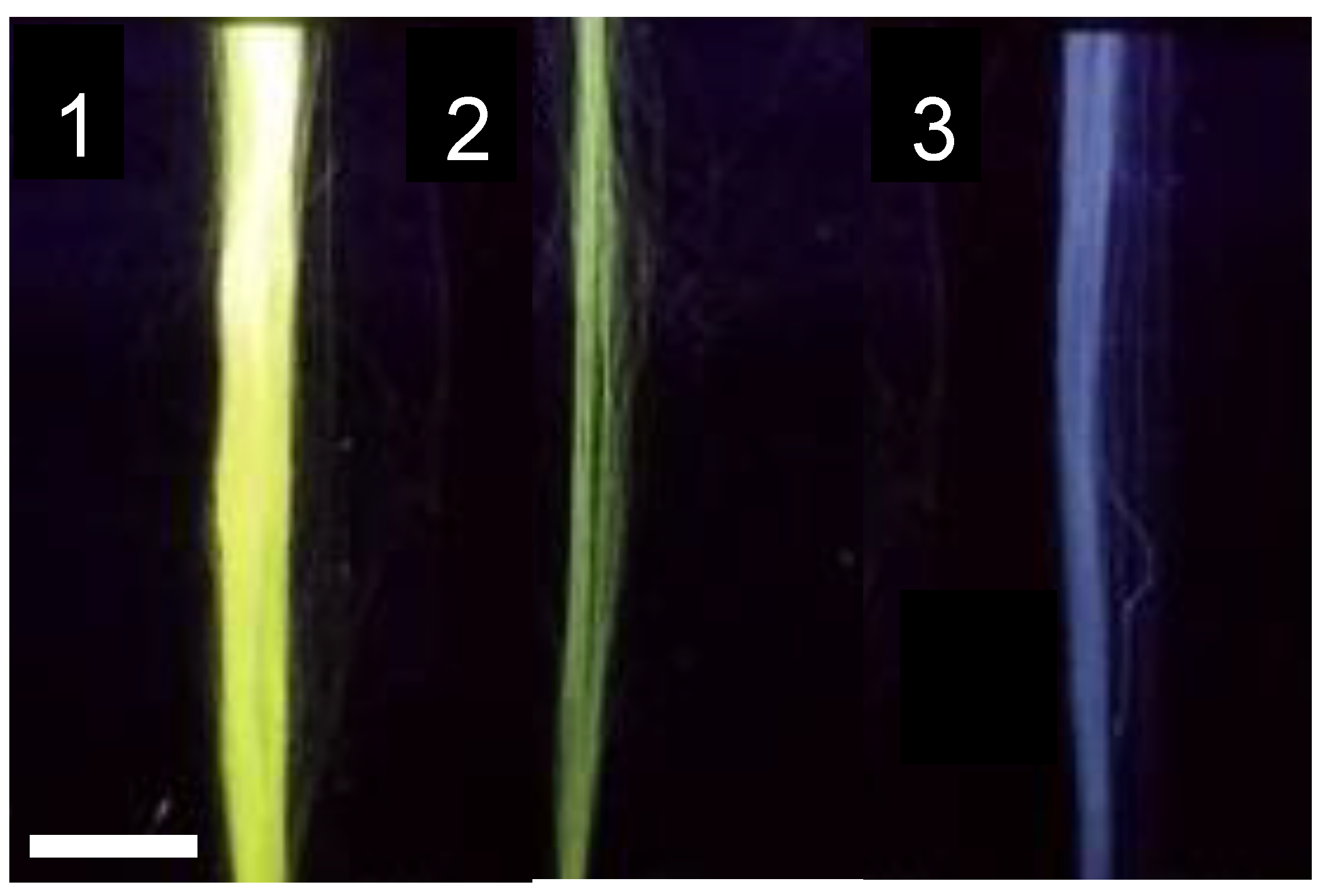 Molecules 27 04146 g001