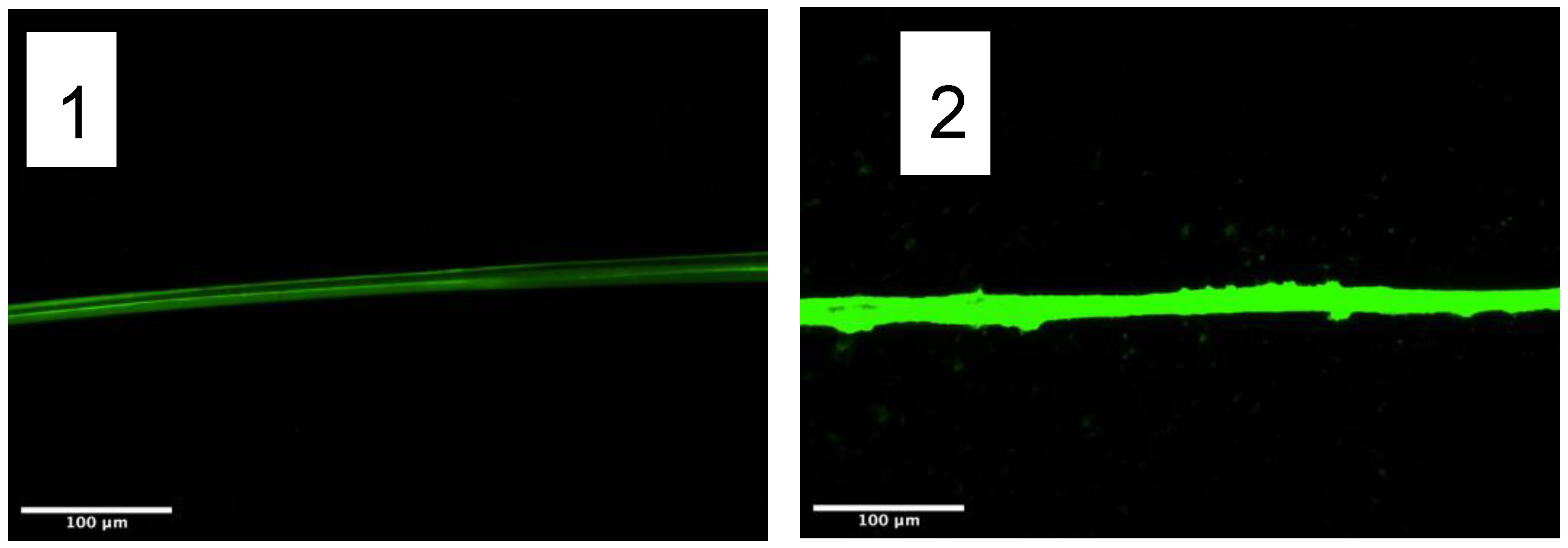 Molecules 27 04146 g002