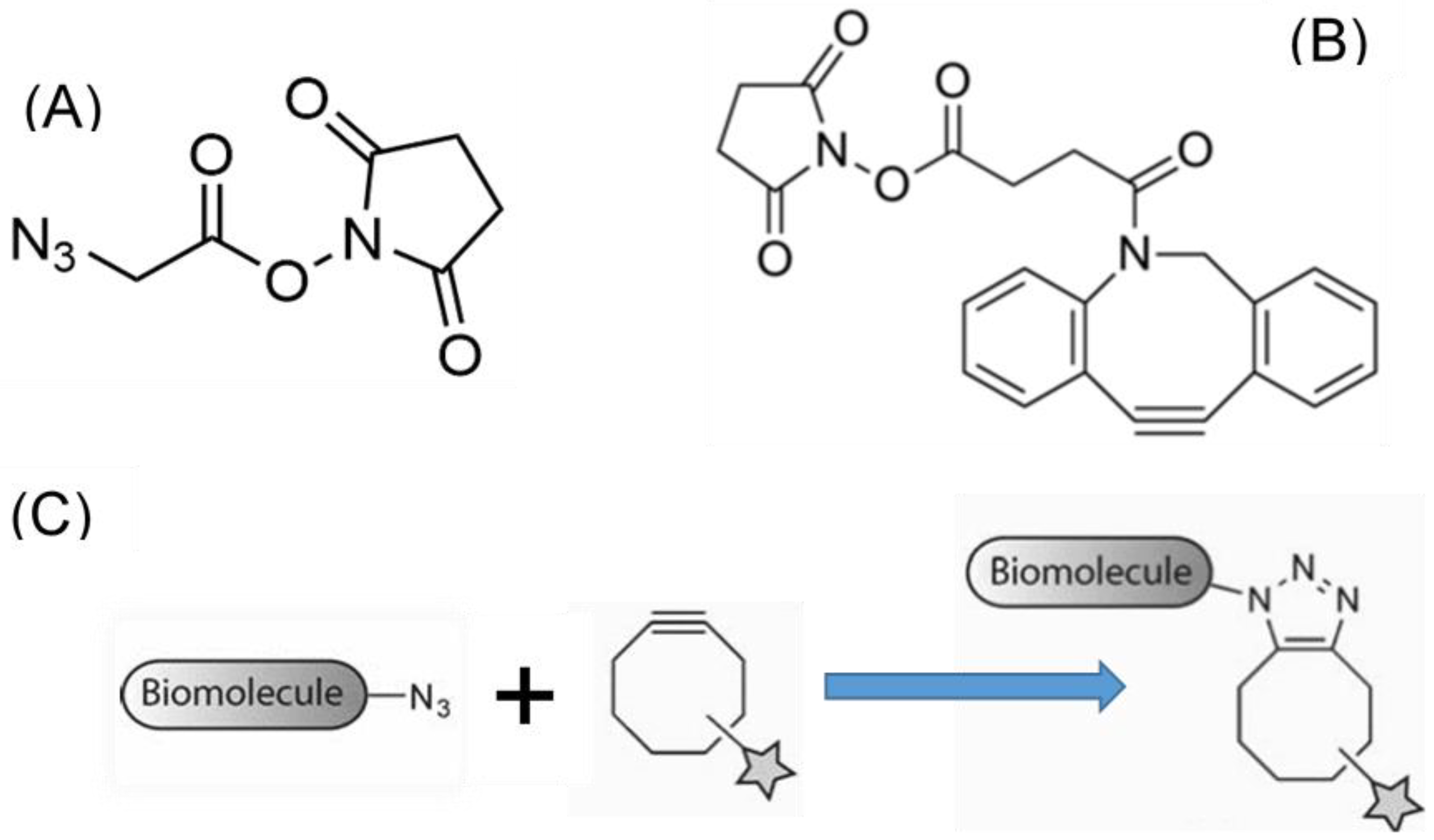 Molecules 27 04146 g003