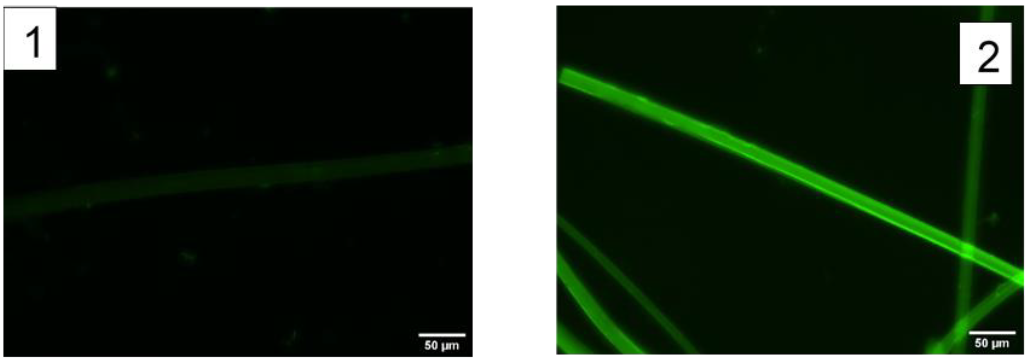 Molecules 27 04146 g005