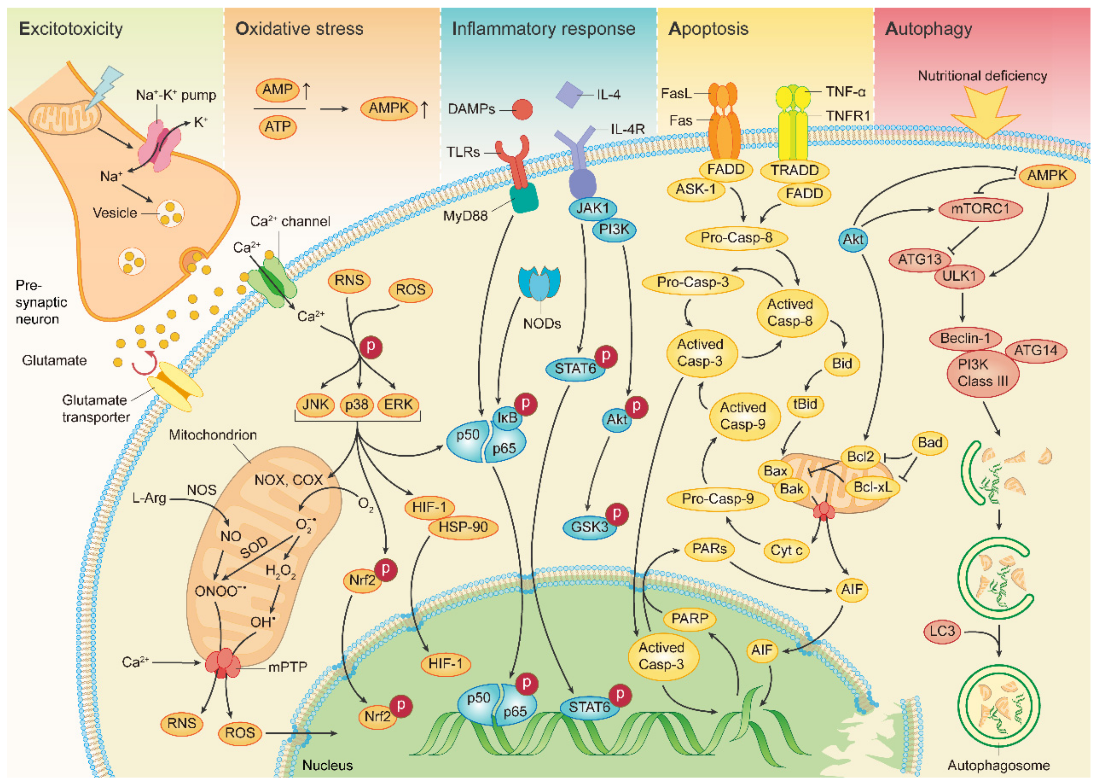Molecules 27 04181 g002 Molecules 27 04181 g002