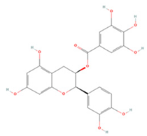 Molecules 27 04181 i017 Molecules 27 04181 i017