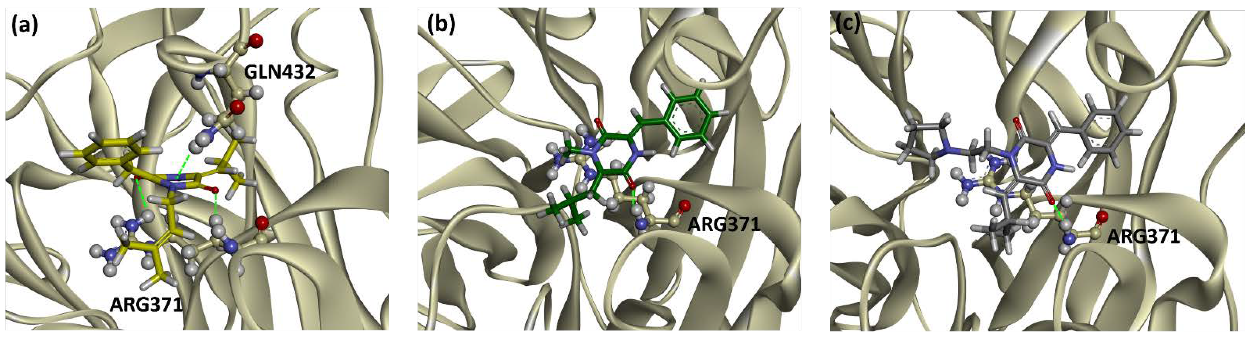 Molecules 27 04200 g004