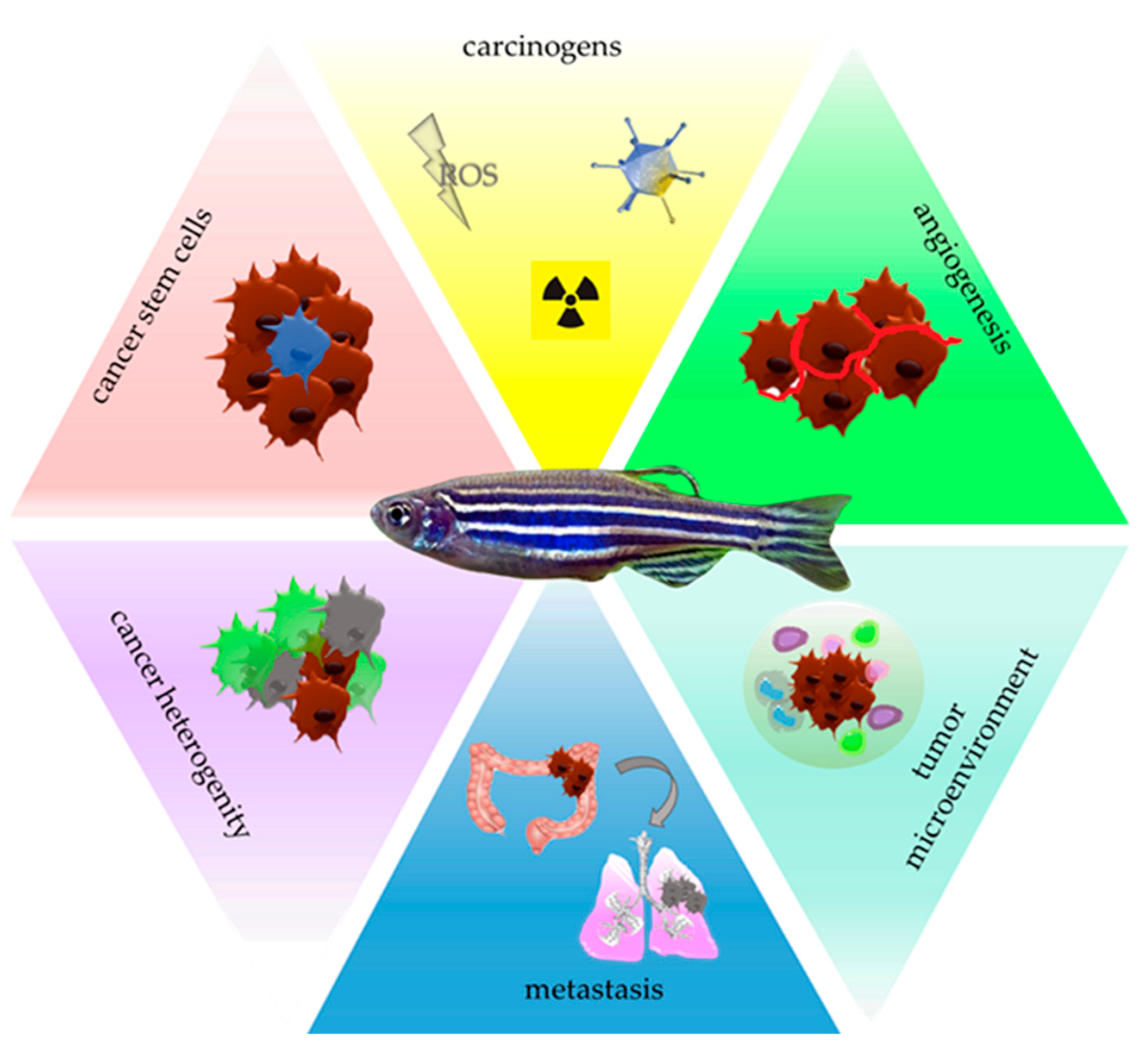 Molecules 27 04223 g001