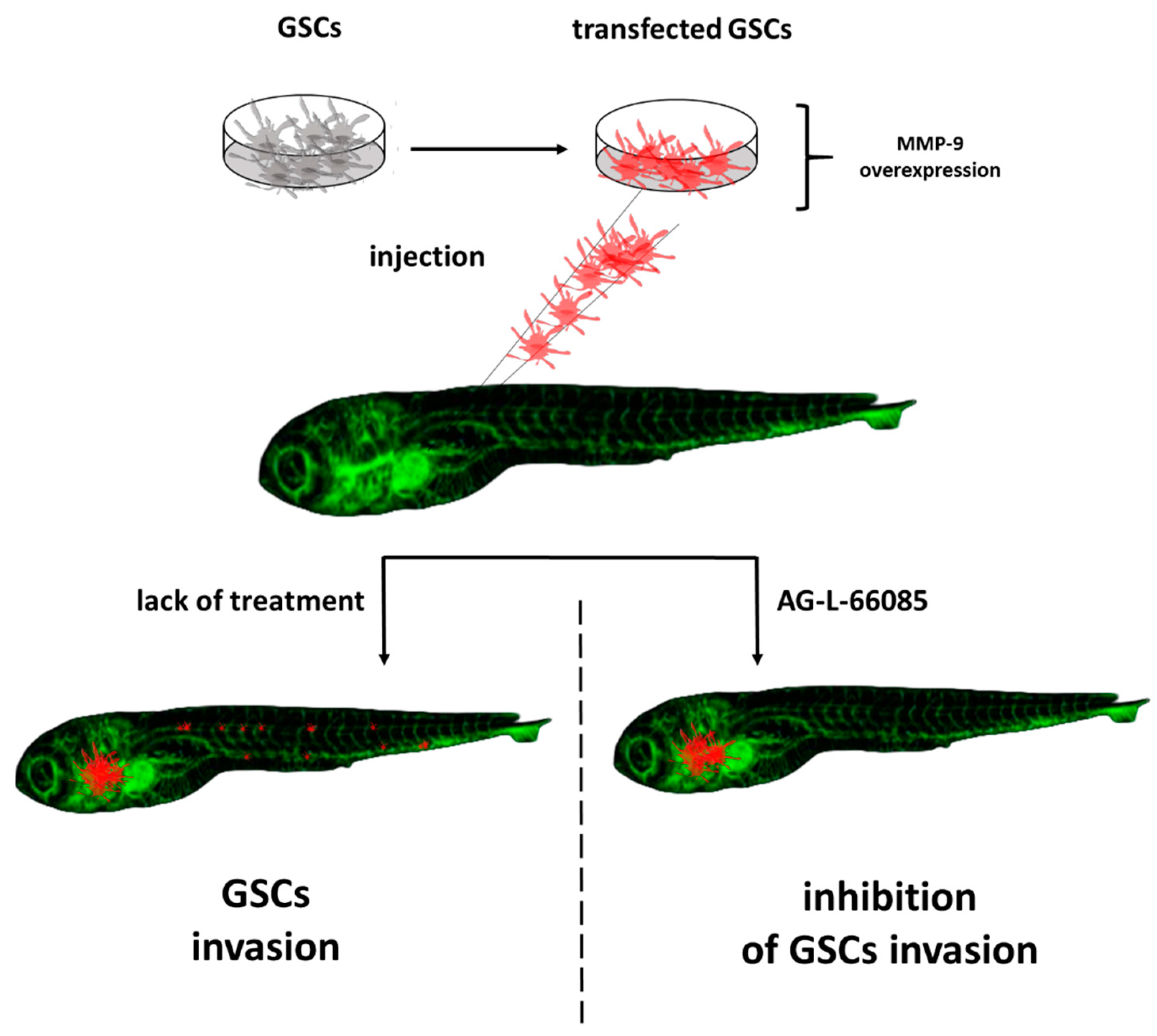Molecules 27 04223 g002