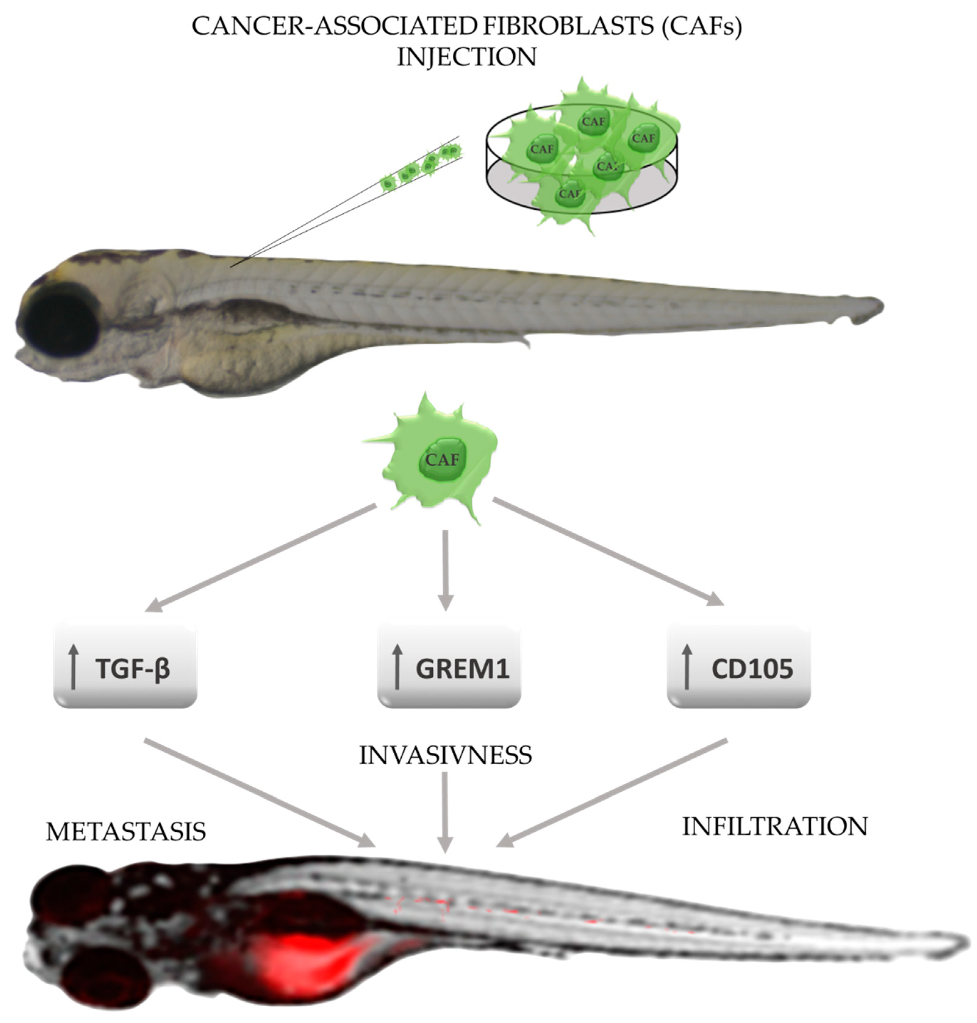 Molecules 27 04223 g004