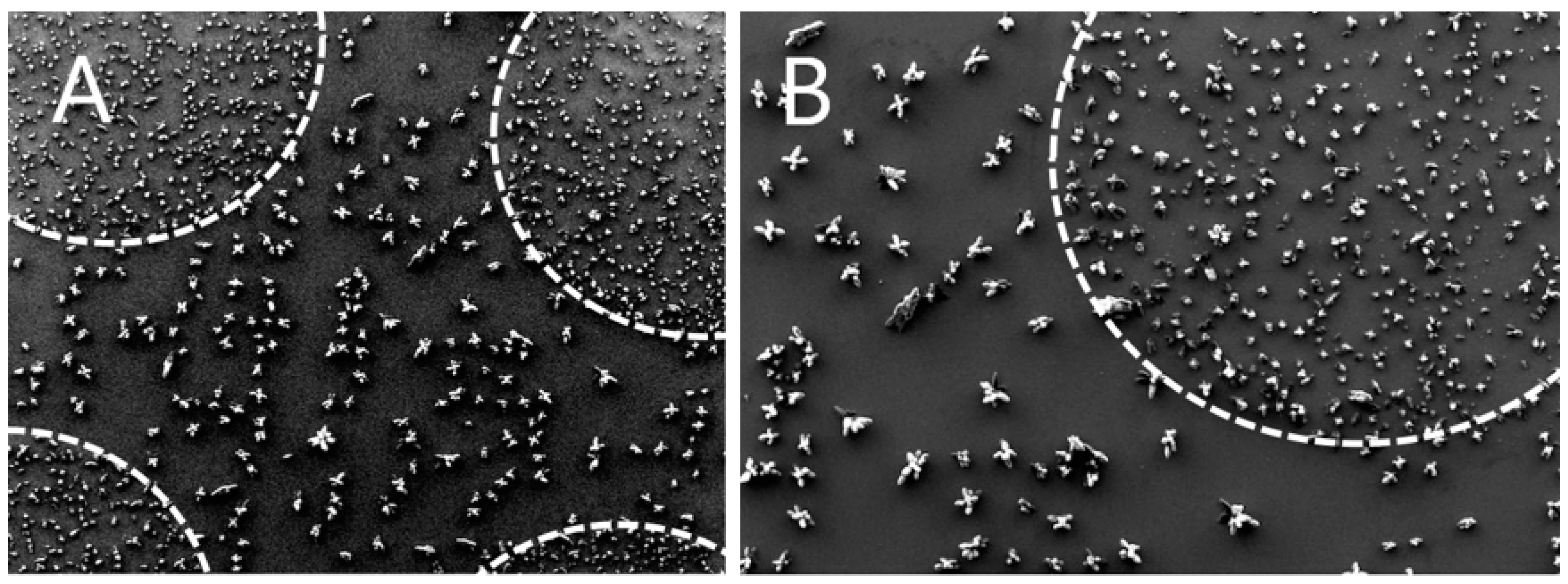 Molecules 27 04237 g002