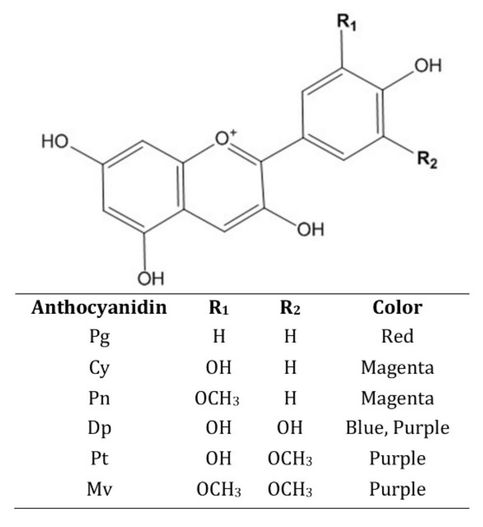 Molecules | Free Full-Text | Anthocyanins as Key Phytochemicals Acting for  the Prevention of Metabolic Diseases: An Overview | HTML