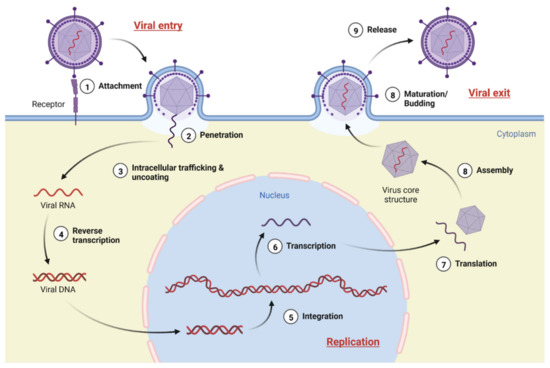 Molecules | Free Full-Text | Microbial Natural Products with Antiviral ...