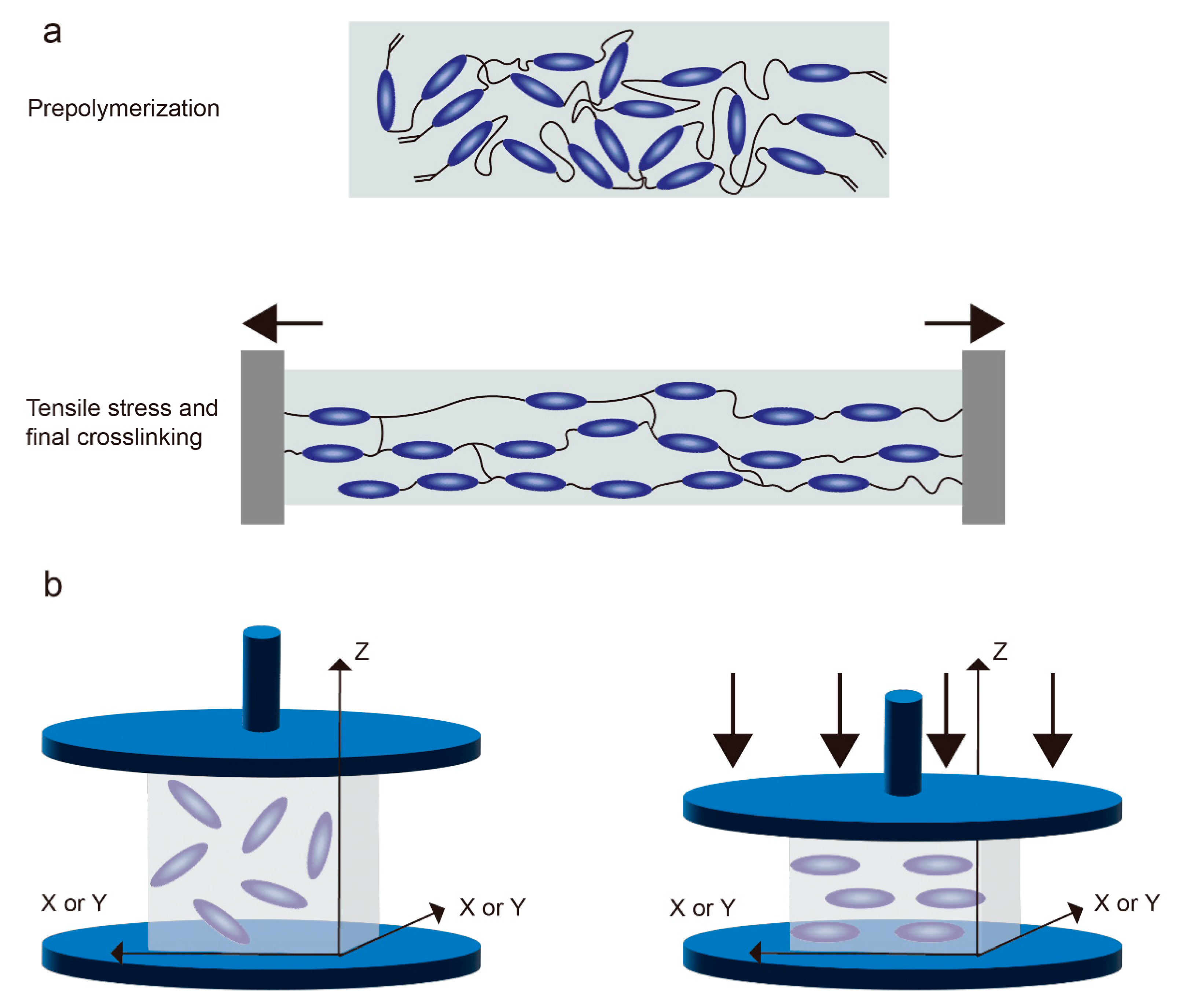 Molecules | Free Full-Text | Photothermal-Driven Liquid Crystal ...