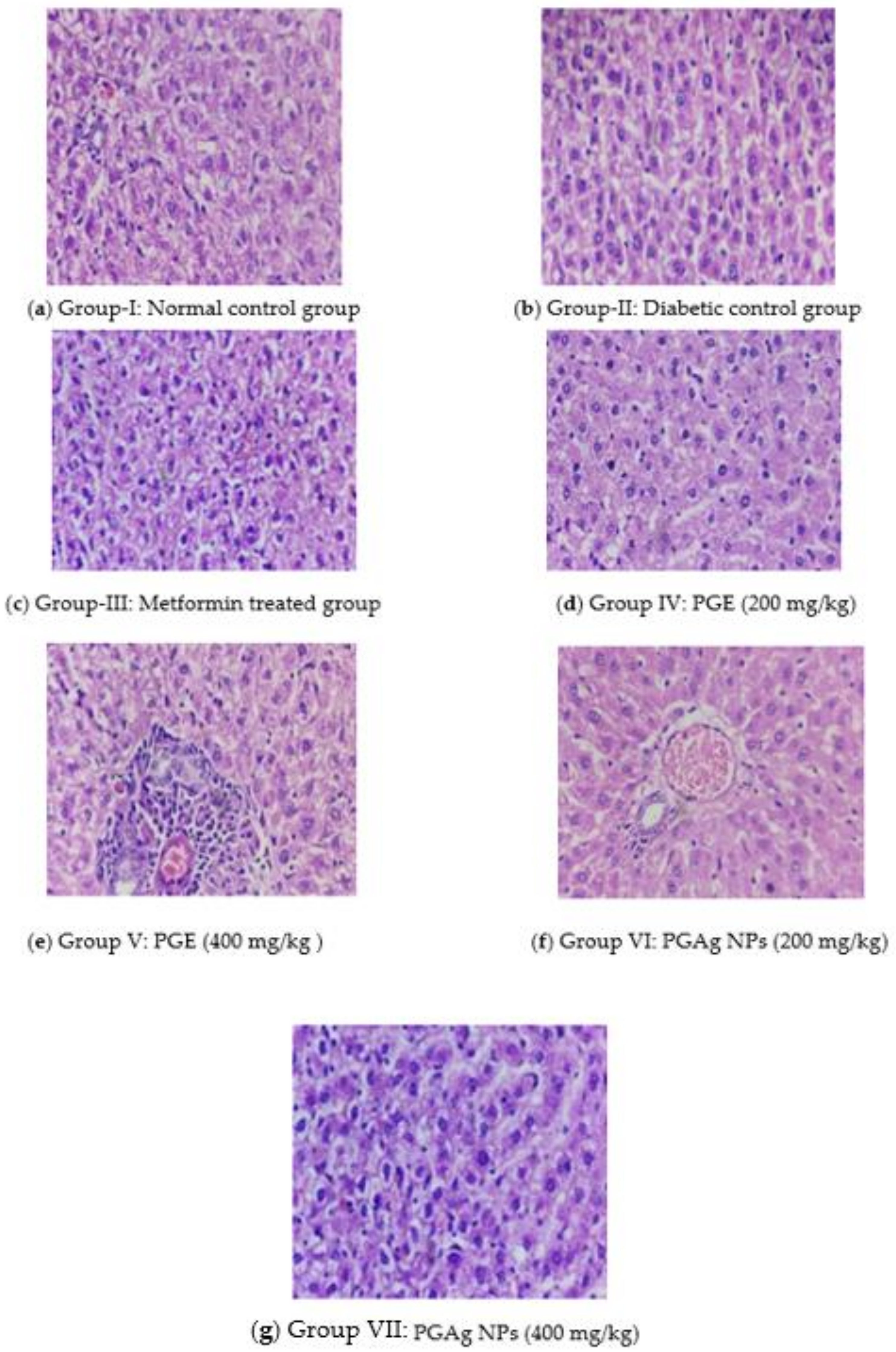 Molecules 27 04336 g007
