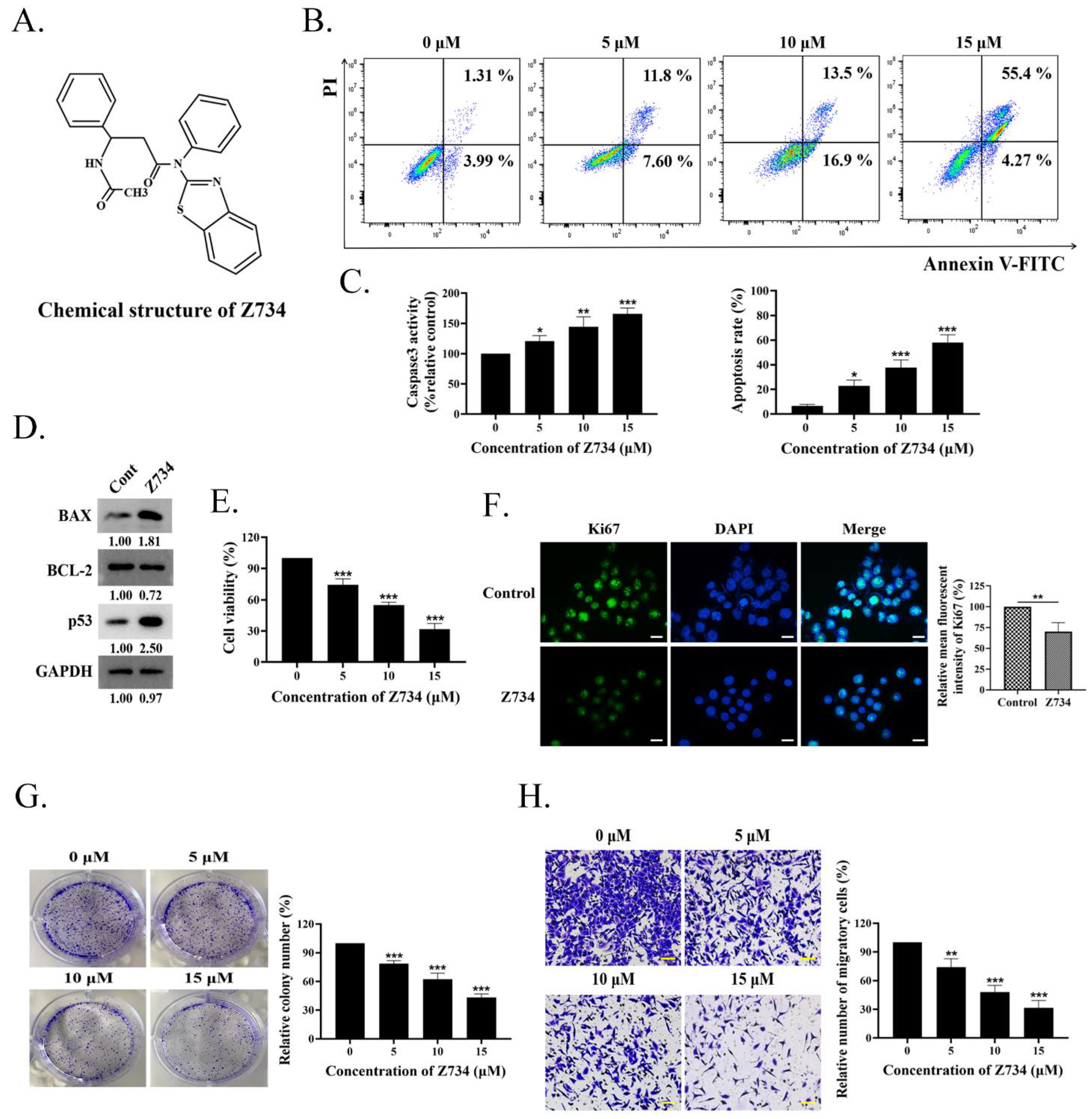 Molecules | Free Full-Text | A Novel ERK2 Degrader Z734 Induces 