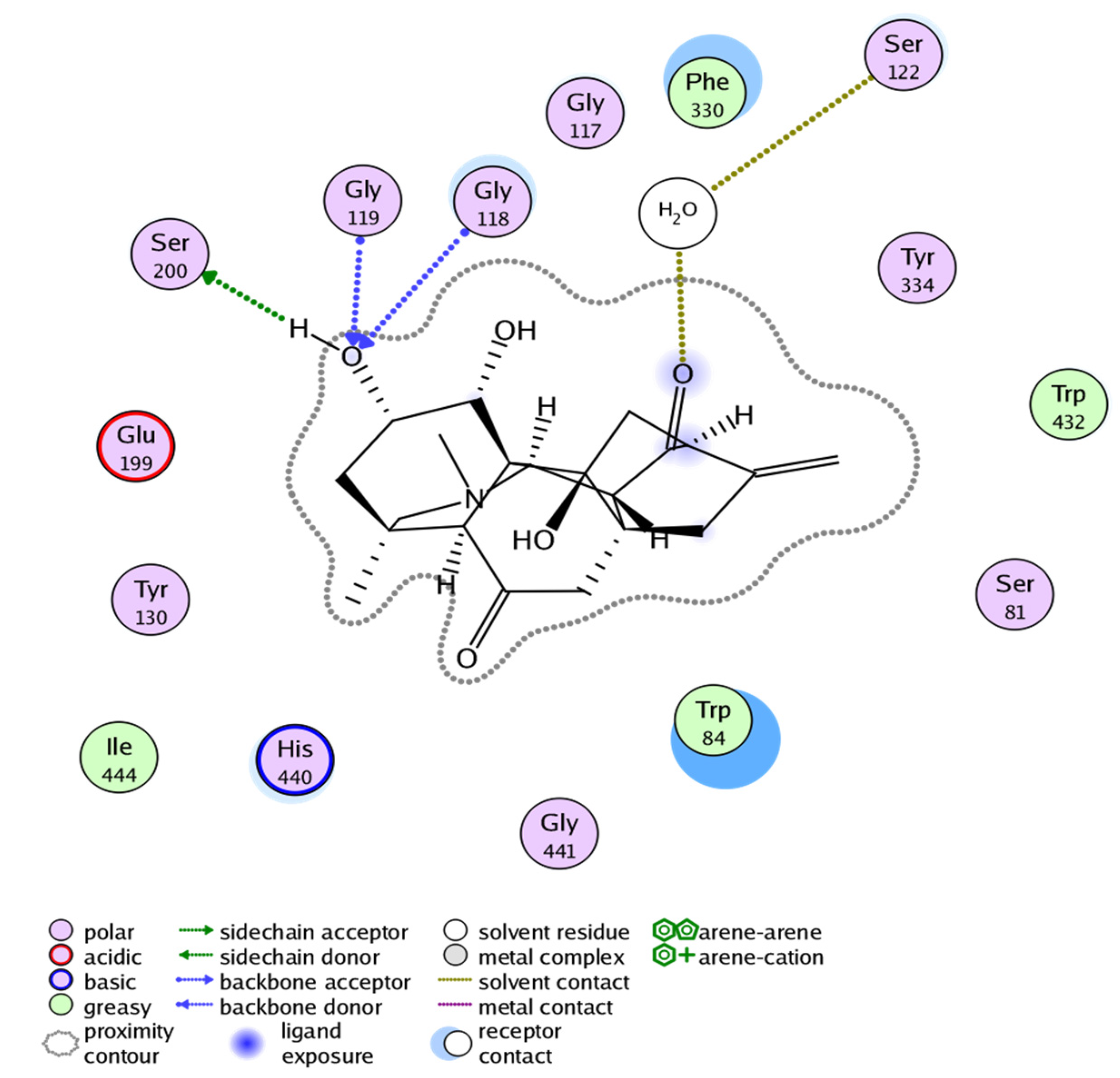 Molecules 27 04348 g007