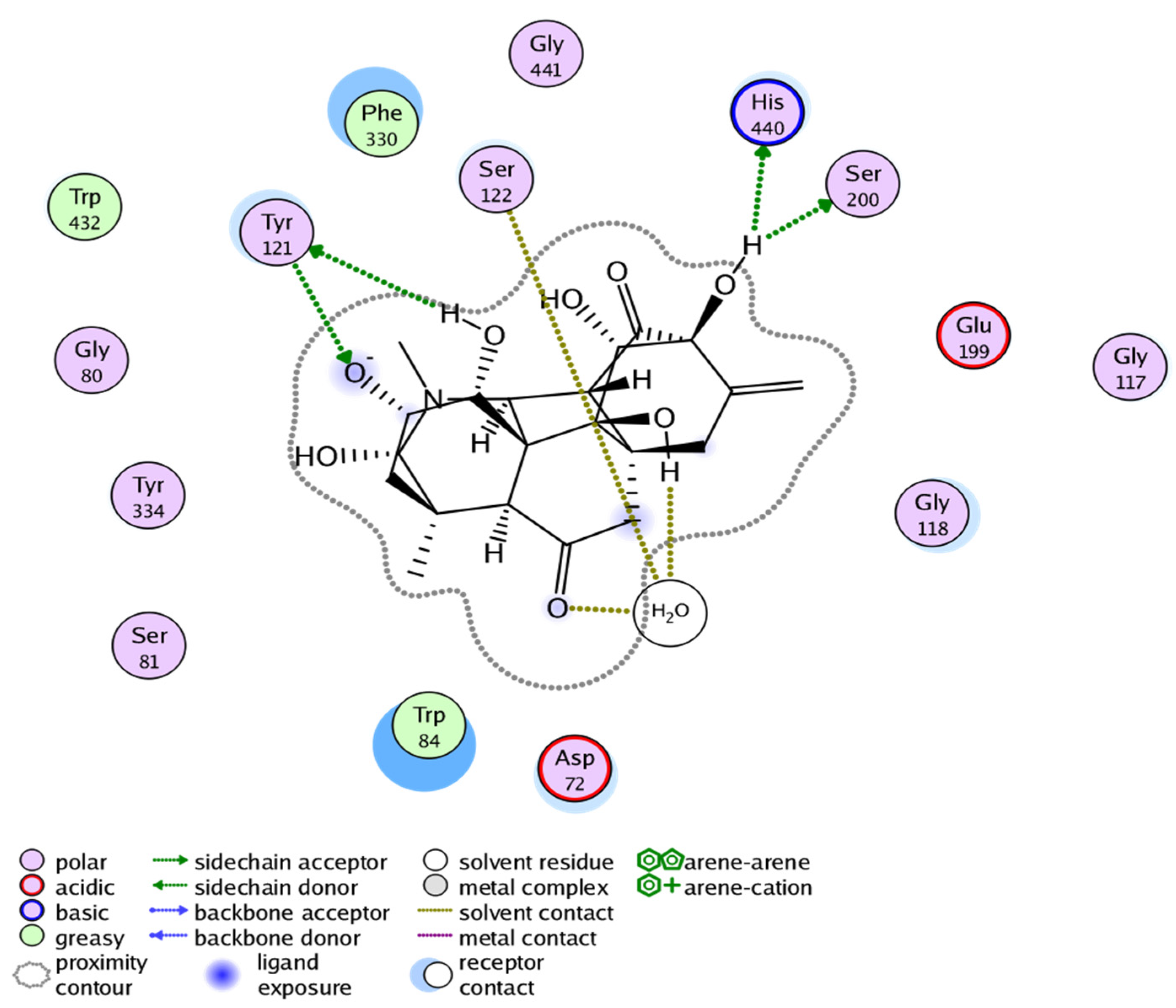 Molecules 27 04348 g008