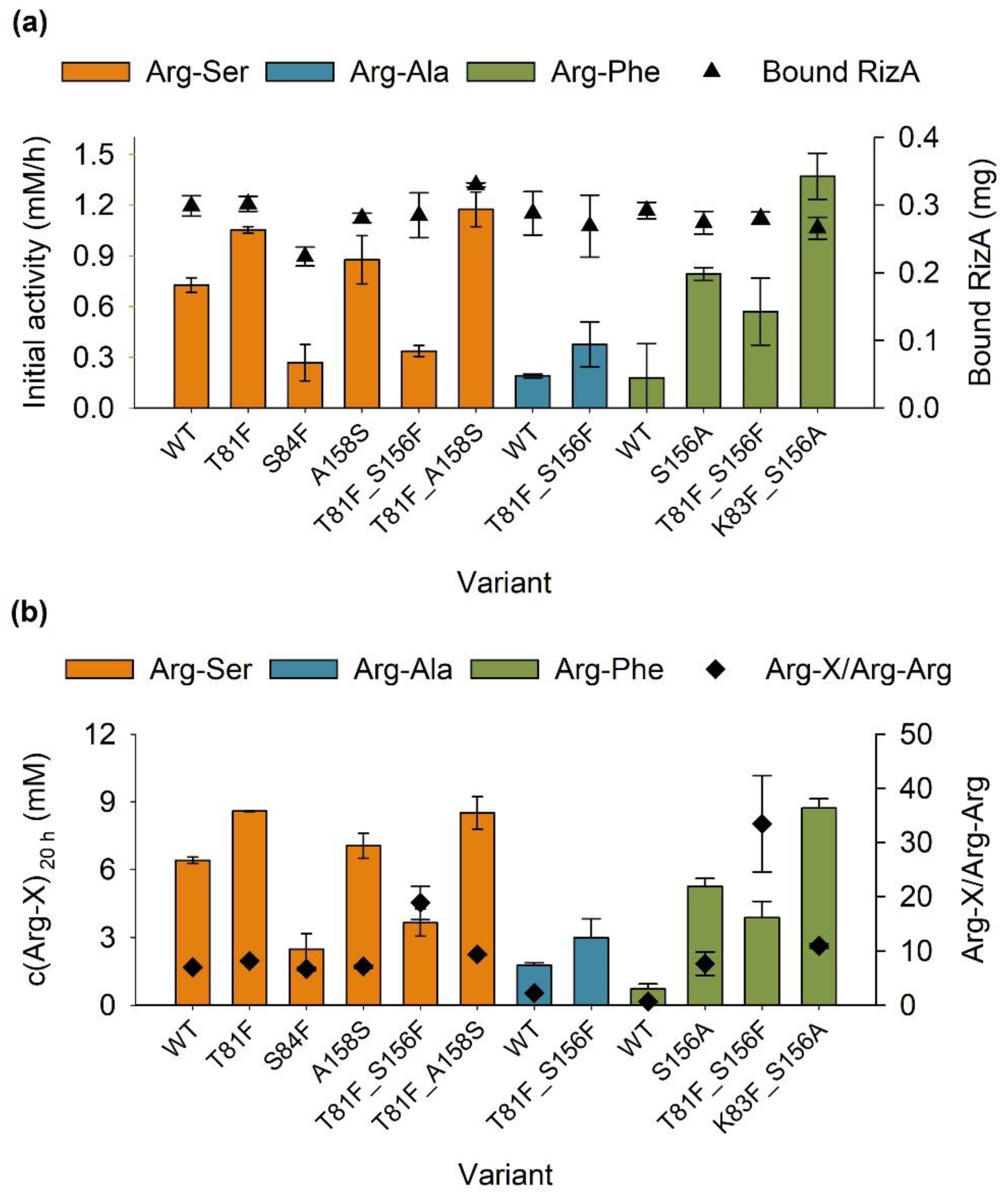 Molecules 27 04352 g004