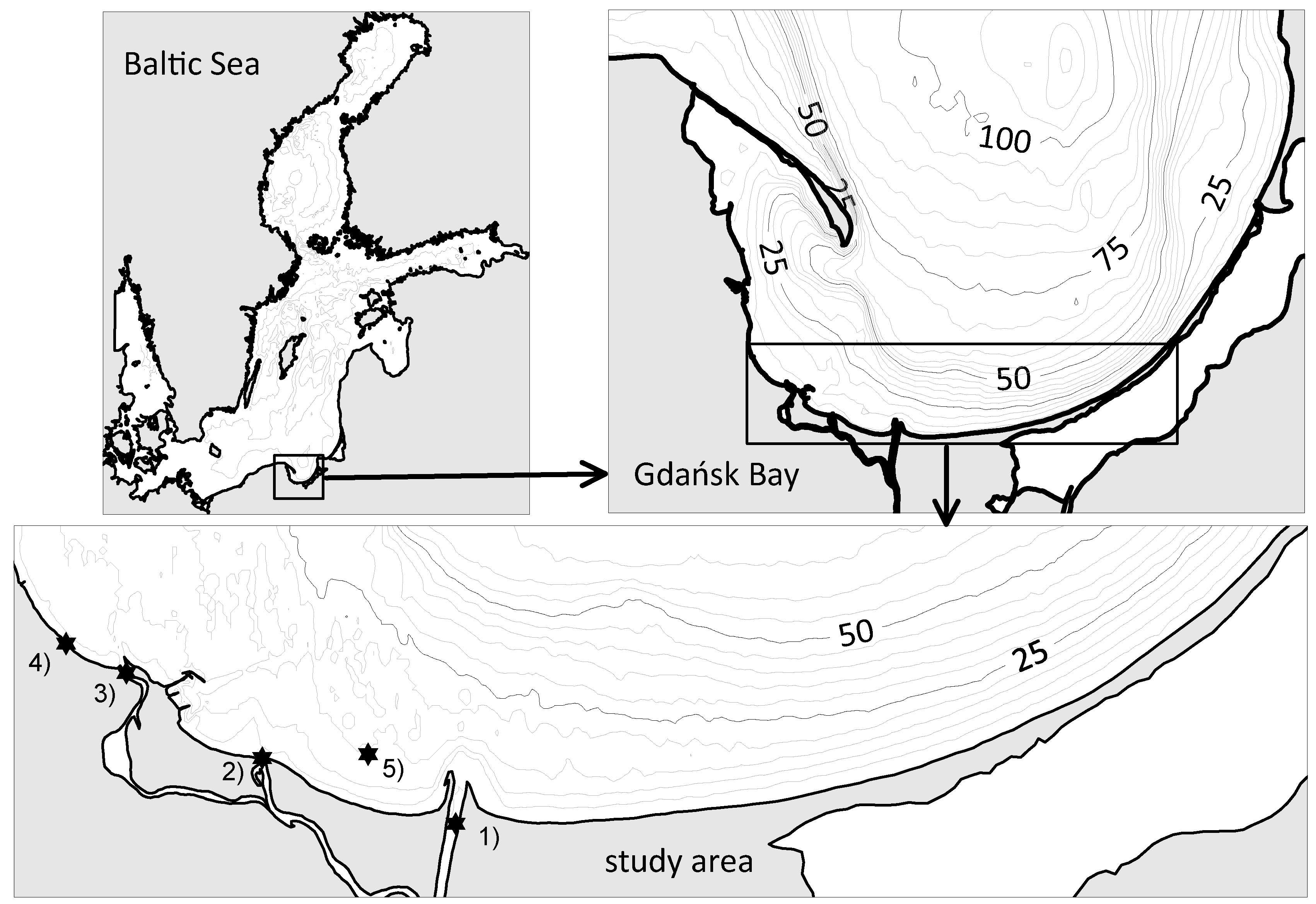 Molecules 27 04353 g003