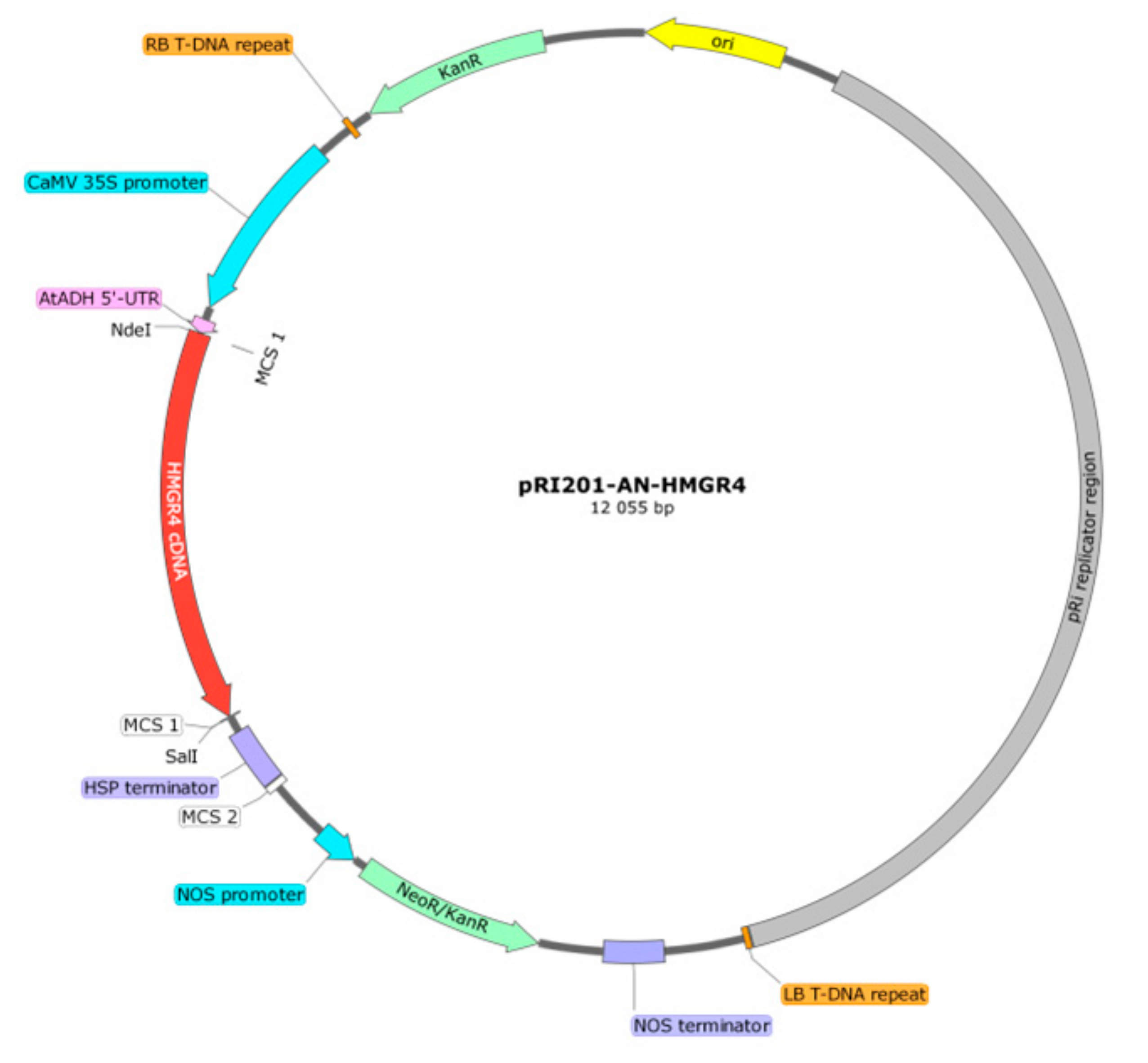 Molecules 27 04354 g003