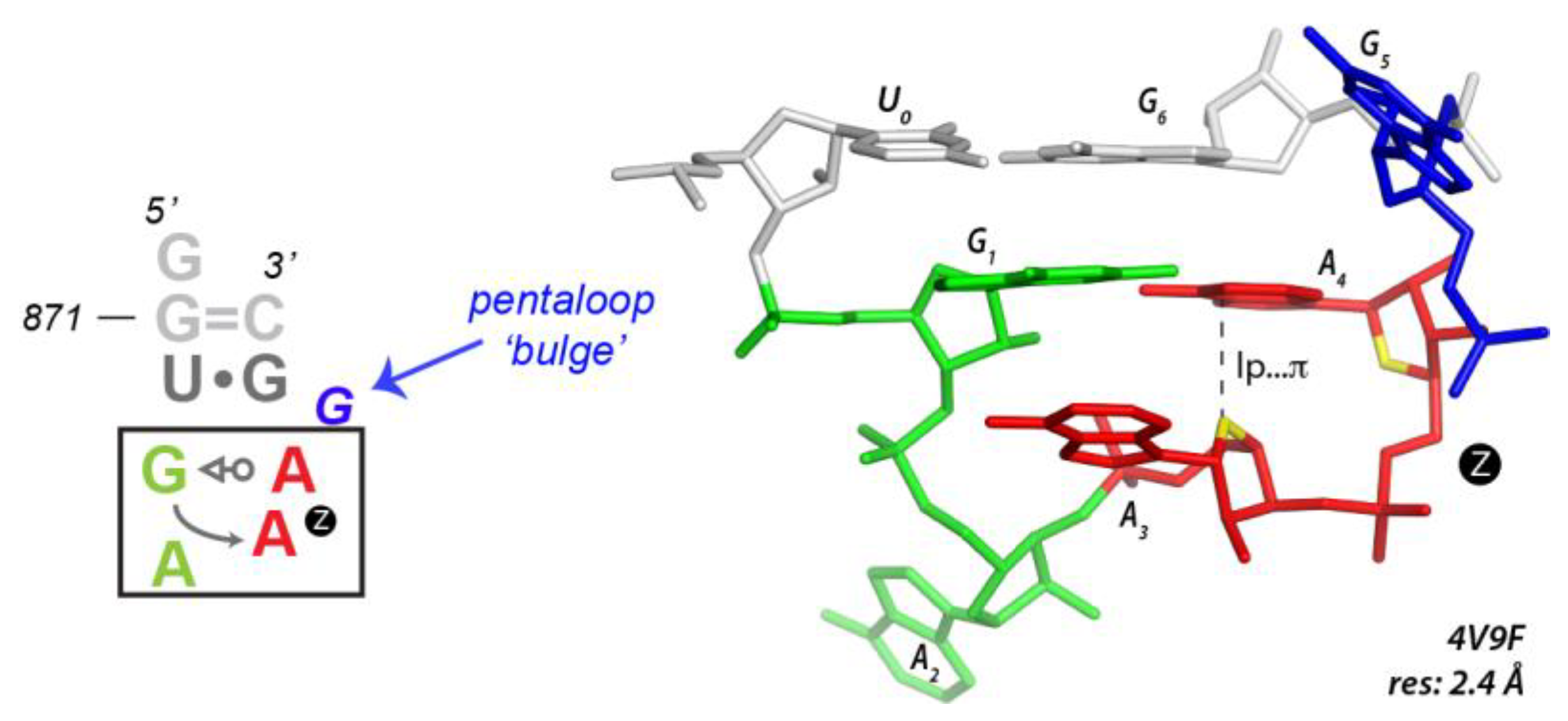 Molecules 27 04365 g007 Molecules 27 04365 g007